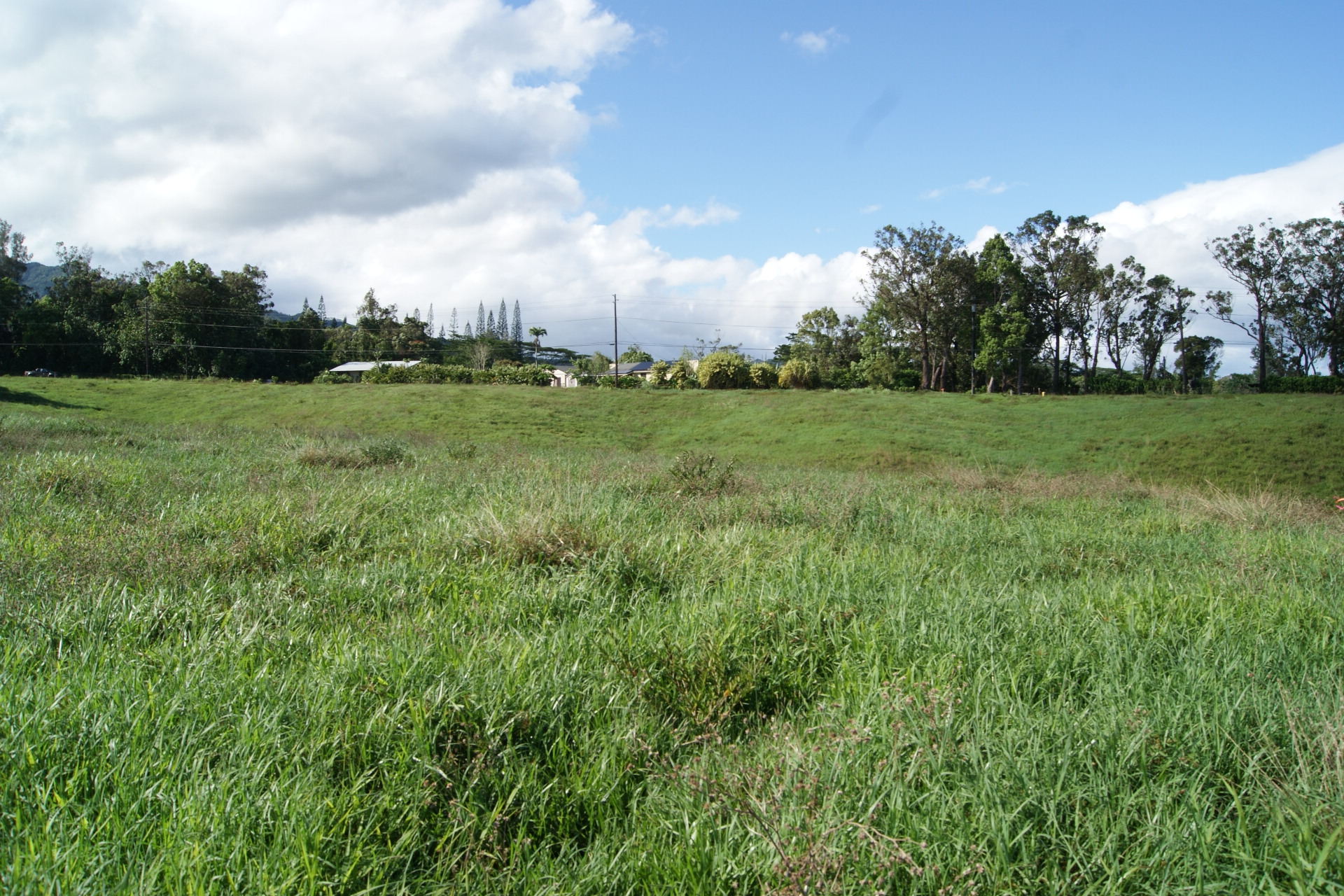6555 Olohena Rd Property Photo 12
