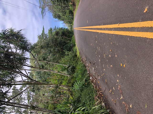 Puni Makai Loop Property Photo 1