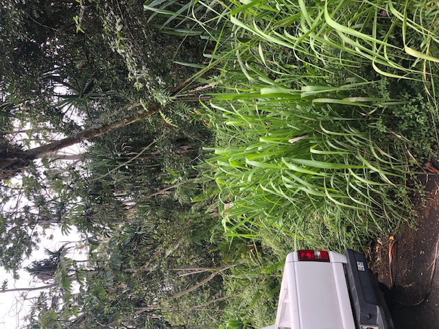 Puni Makai Loop Property Photo 2