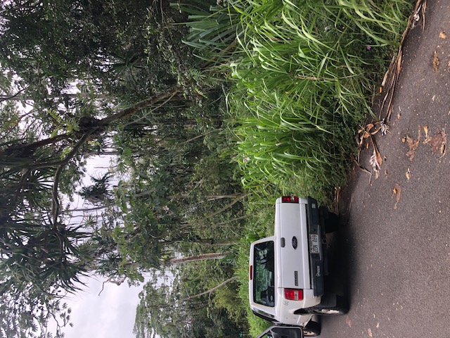 Puni Makai Loop Property Photo 3