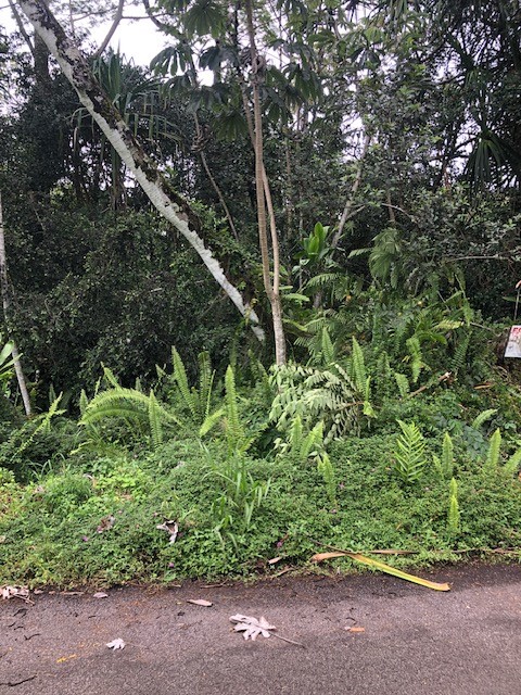 Puni Makai Loop Property Photo 5
