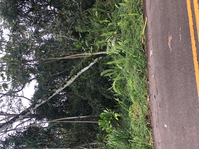 Puni Makai Loop Property Photo 11