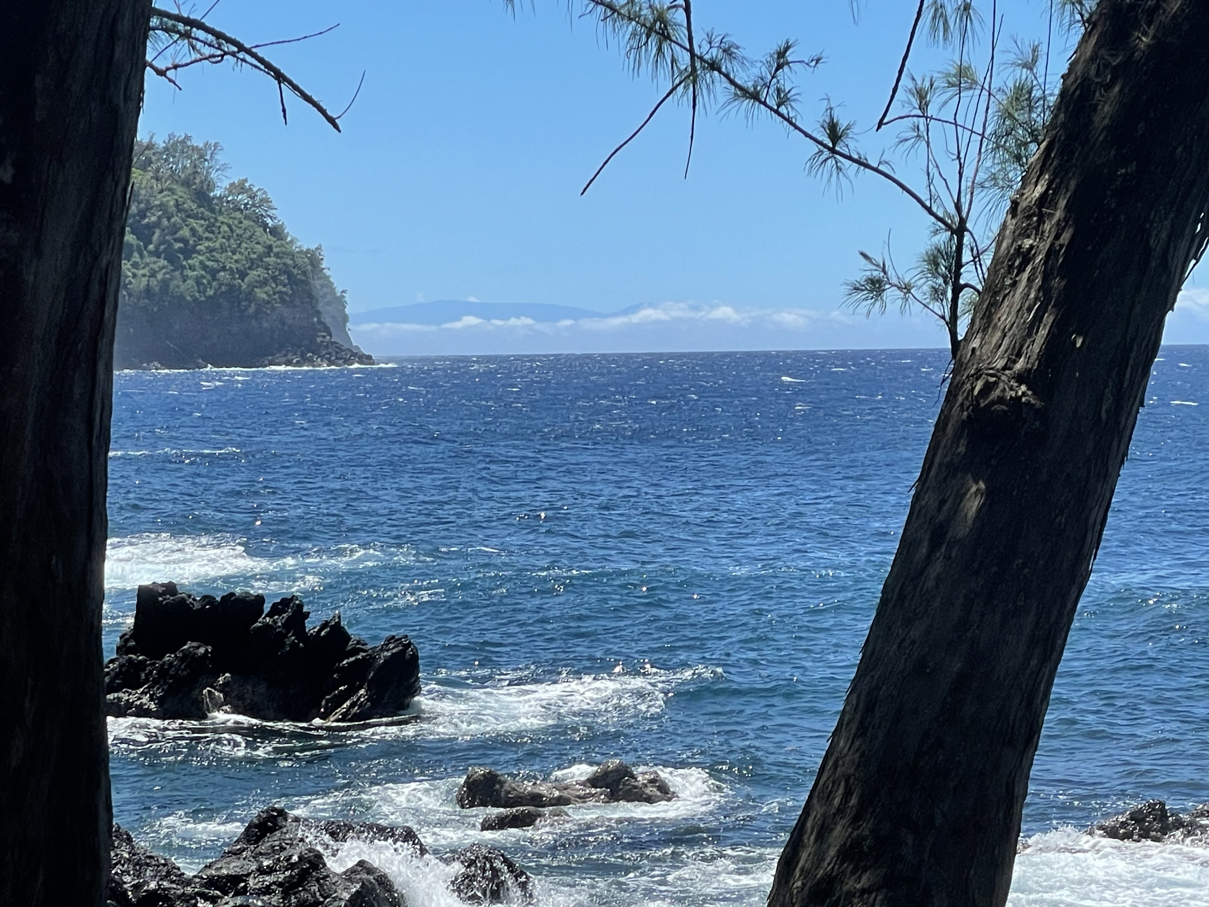 36-1070 LAUPAHOEHOE POINT RD Property Photo 1
