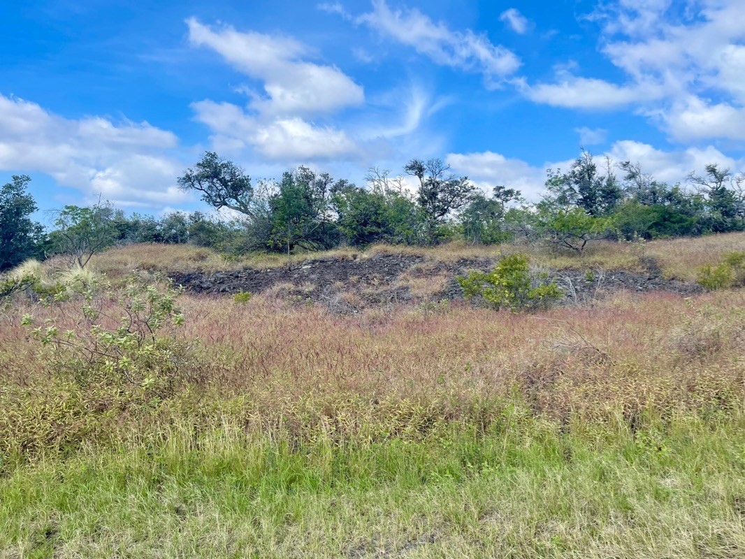 Kohala Blvd Property Photo 1