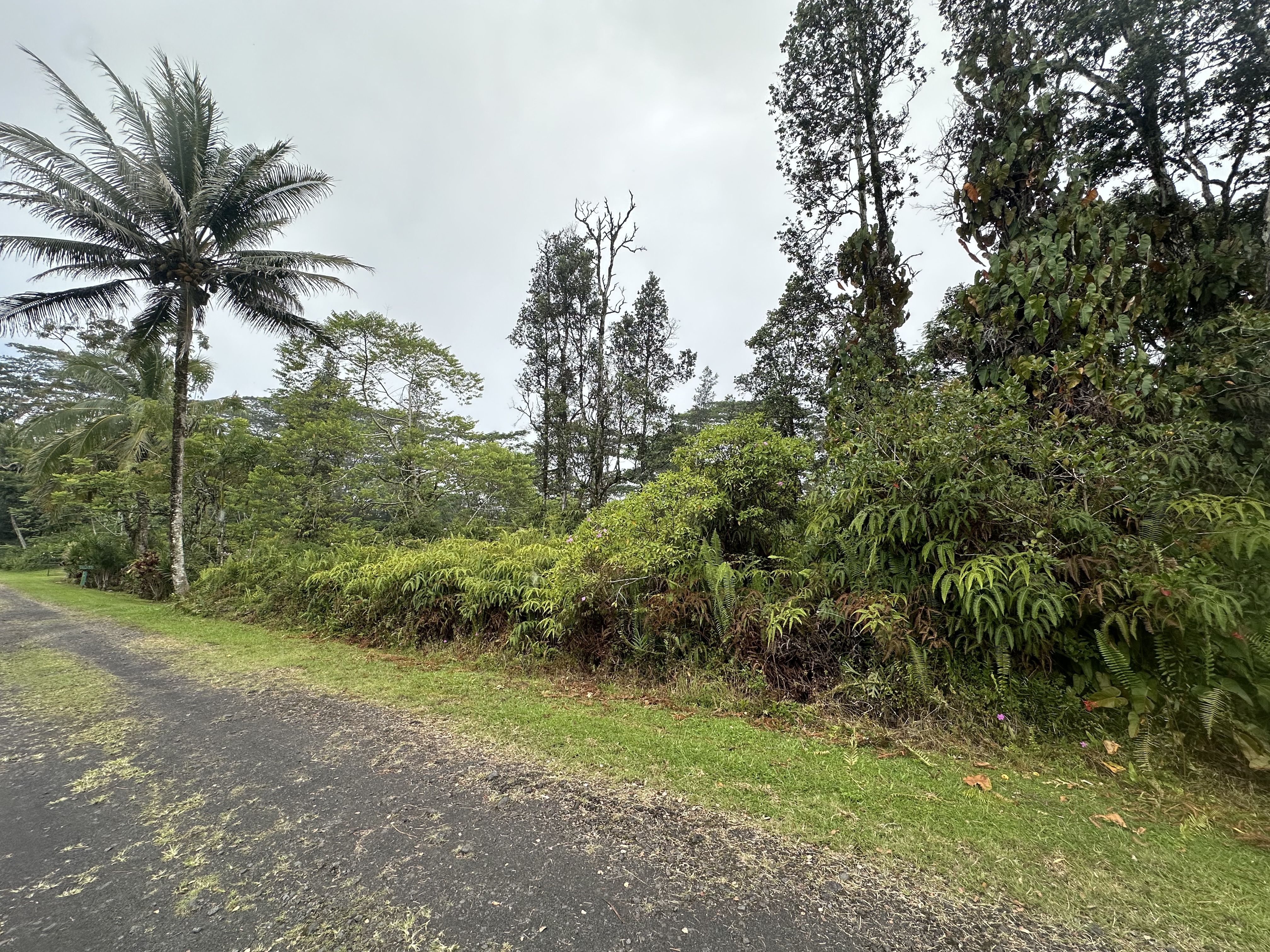 Pikake Rd Property Photo 1