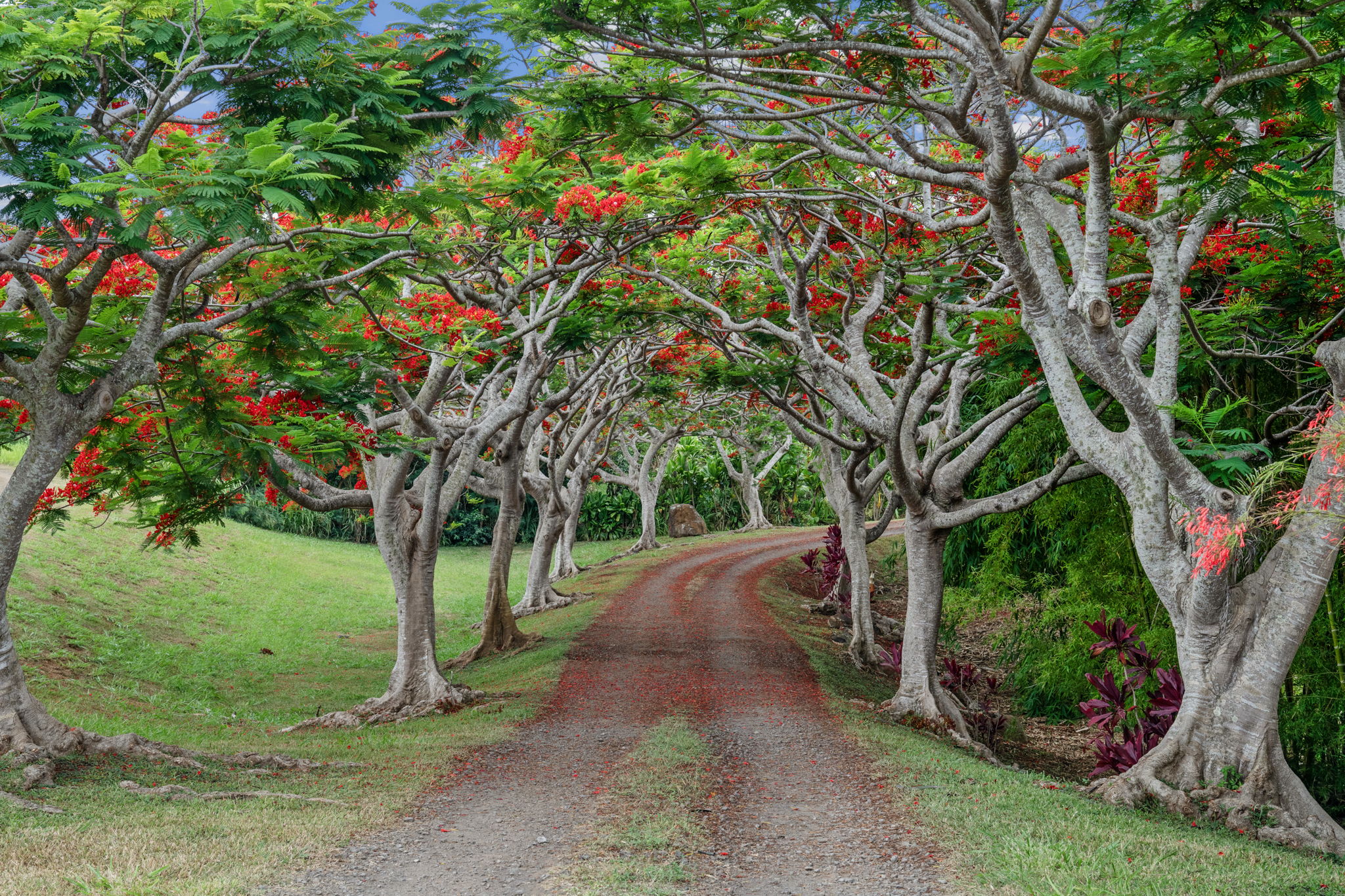 7473-e Koolau Rd Property Photo 2