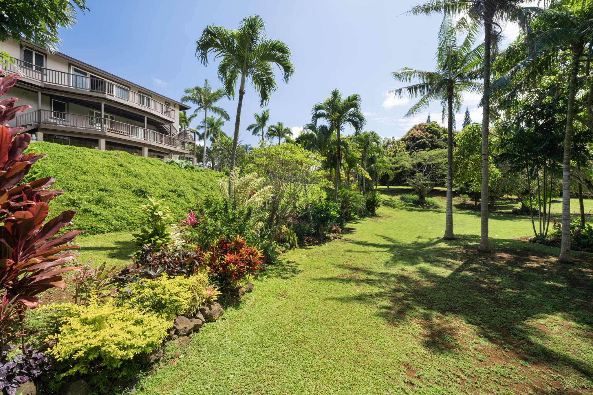 7473-e Koolau Rd Property Photo 22