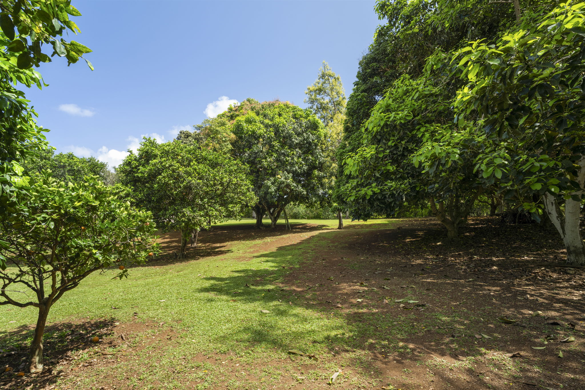 7473-e Koolau Rd Property Photo 25