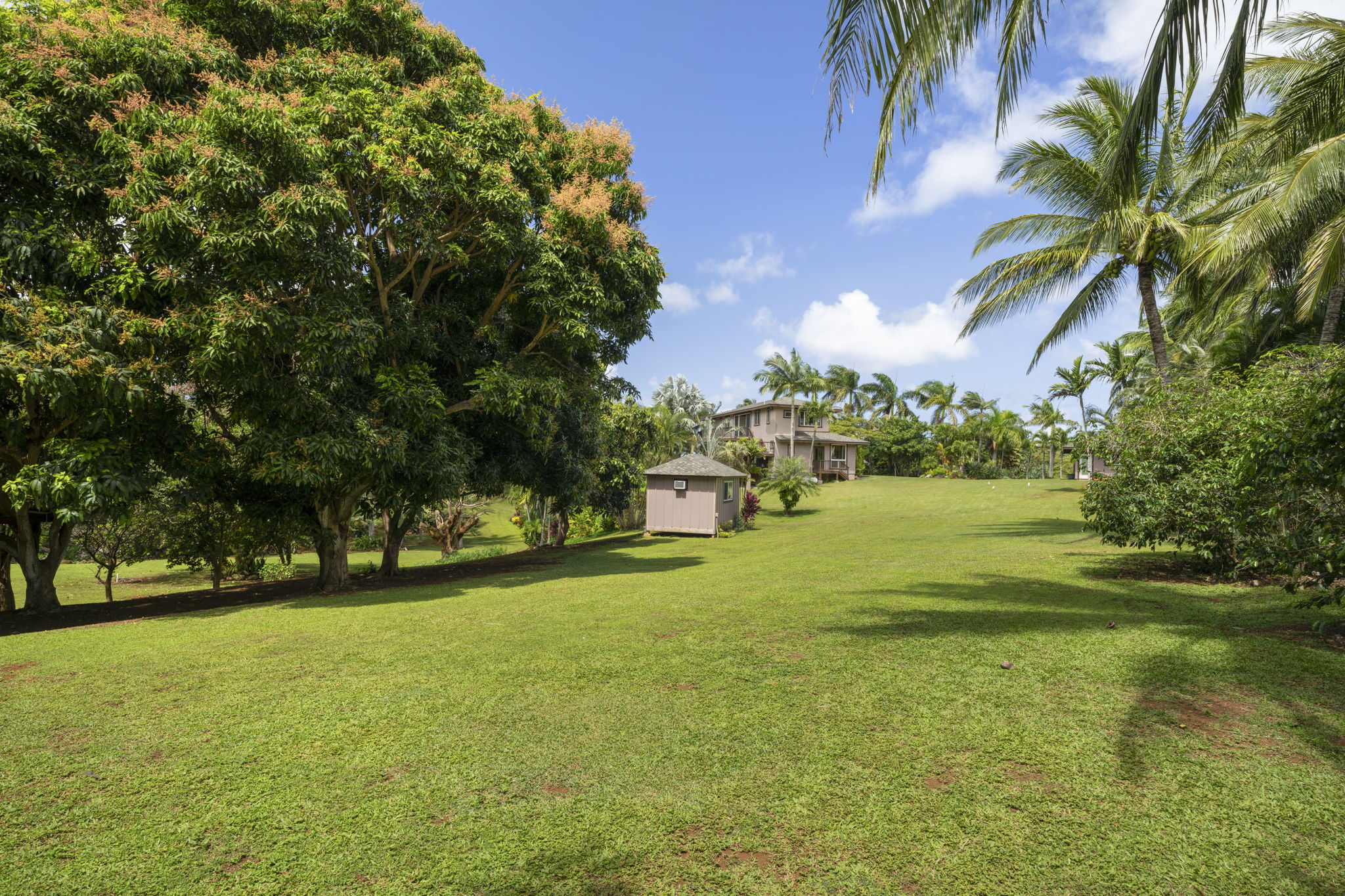 7473-e Koolau Rd Property Photo 29