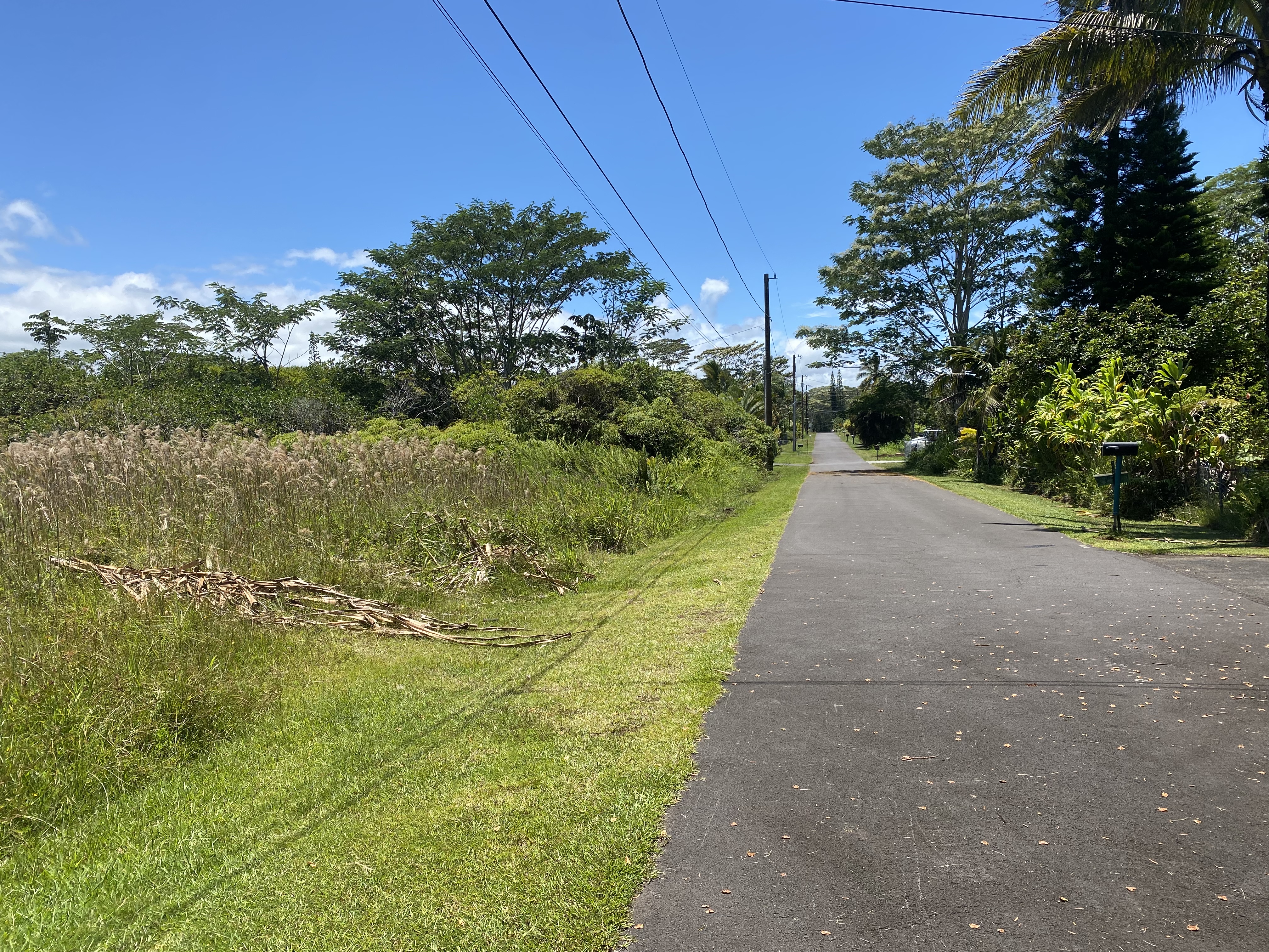 Aku St Property Photo 6