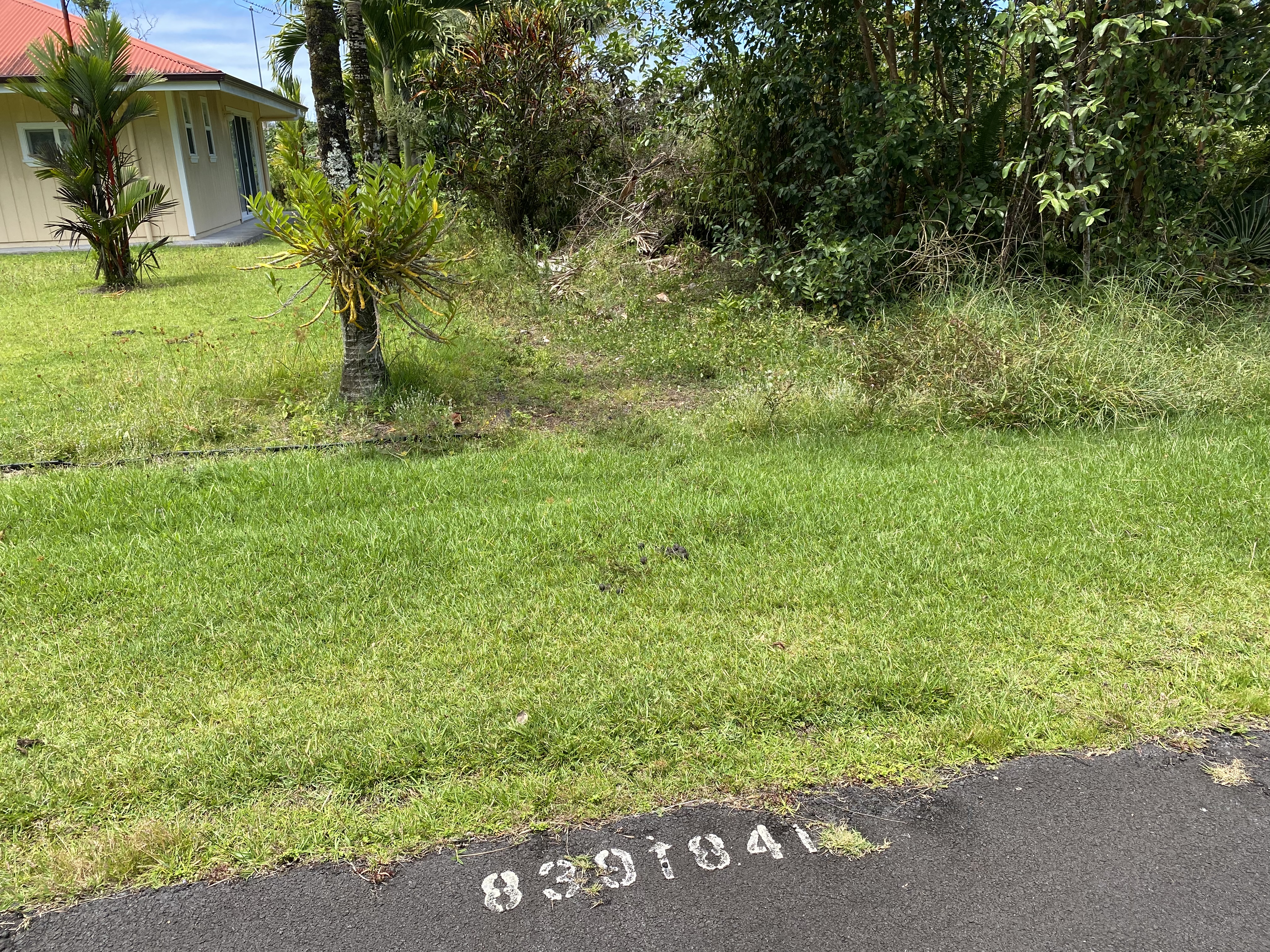 Lalakea St Property Photo 3