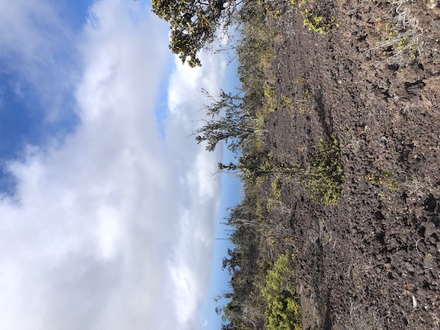 REEF CIR MAUKA Property Photo 1