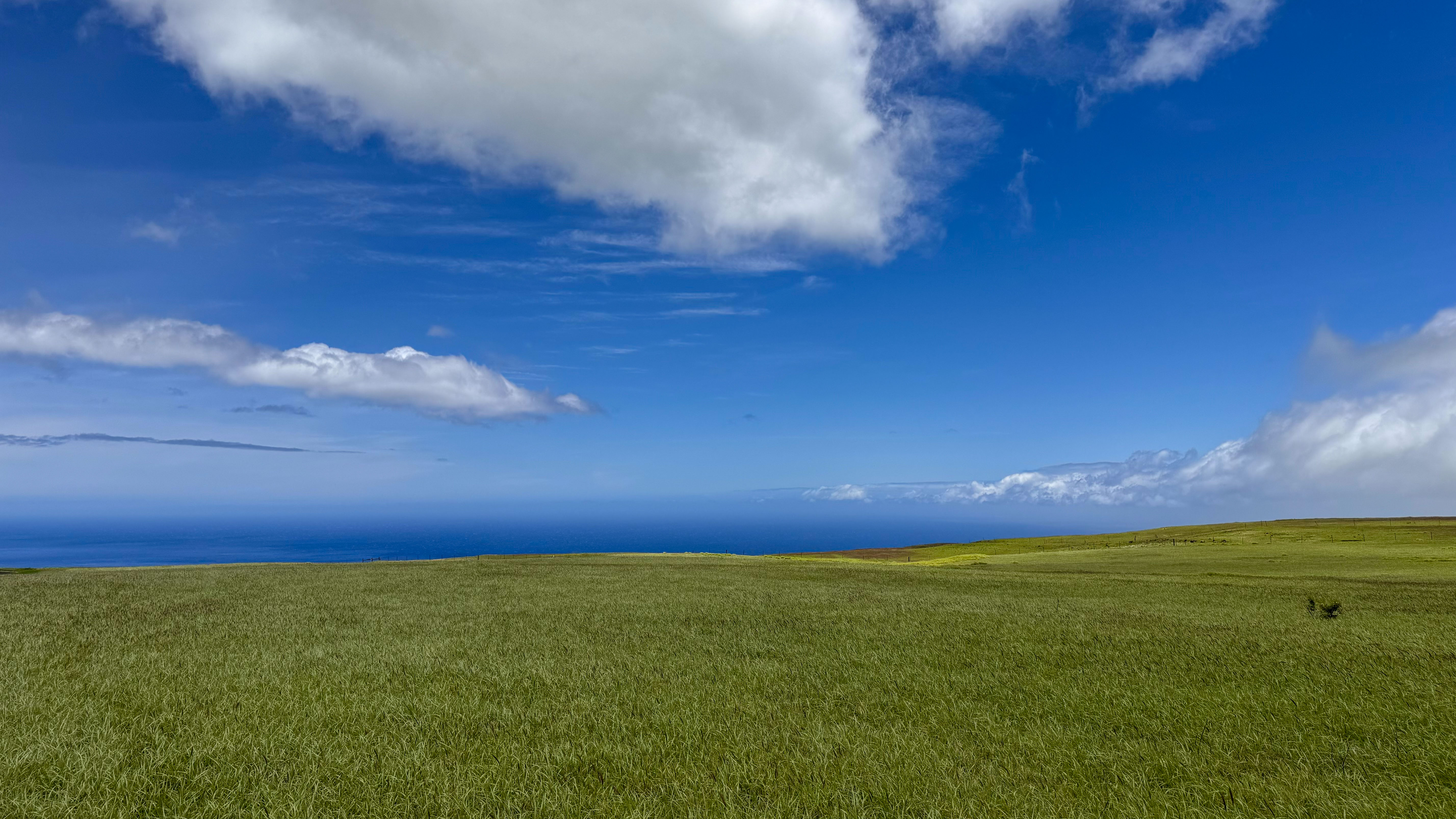 Ualani Pl Property Photo 4