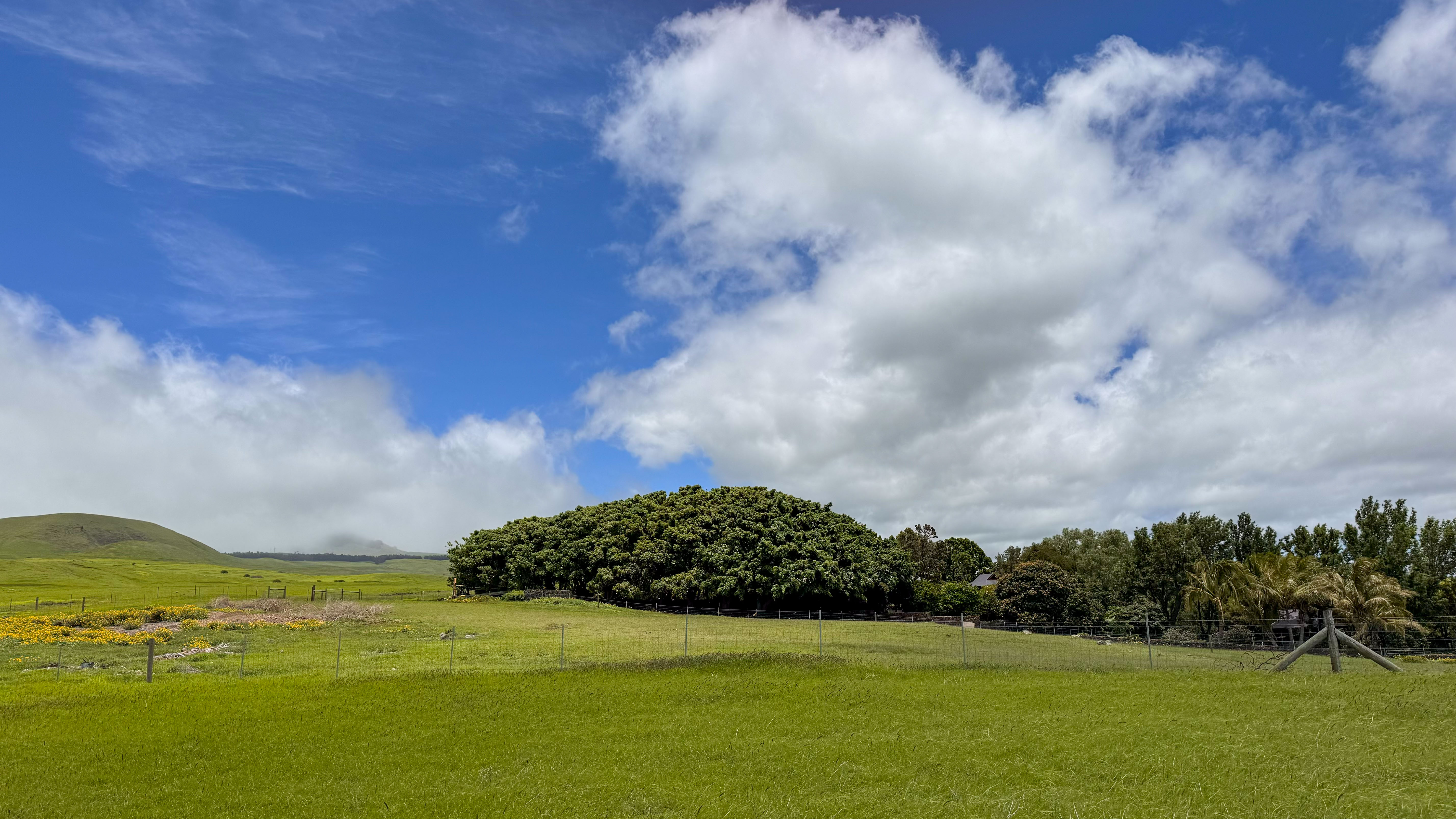 Ualani Pl Property Photo 9