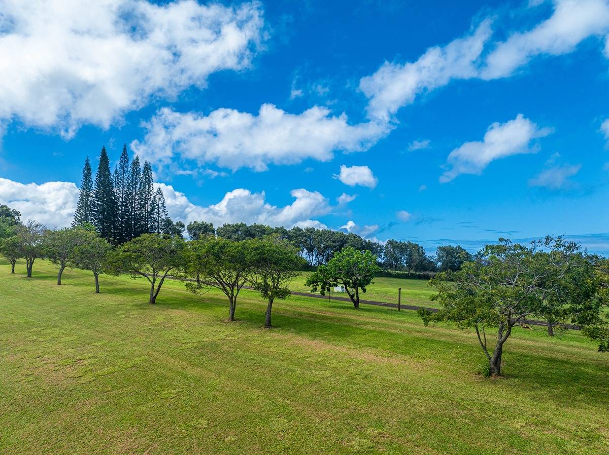 Kapuna Rd Property Photo 11