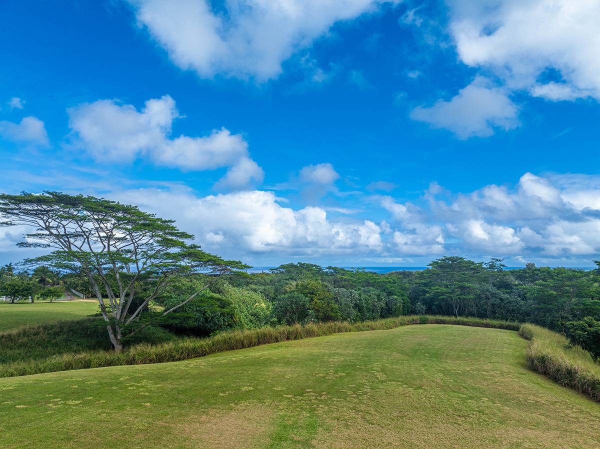 Kapuna Rd Property Photo 14