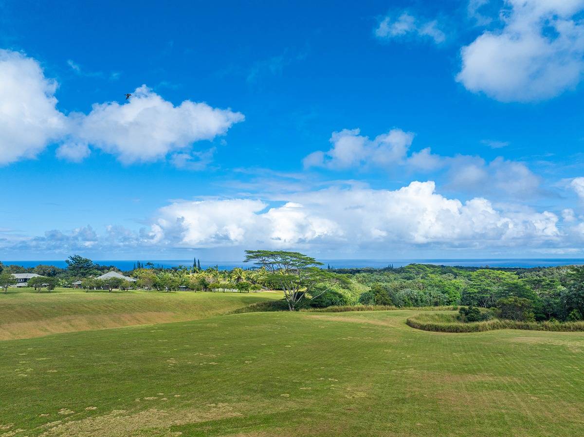 Kapuna Rd Property Photo 16