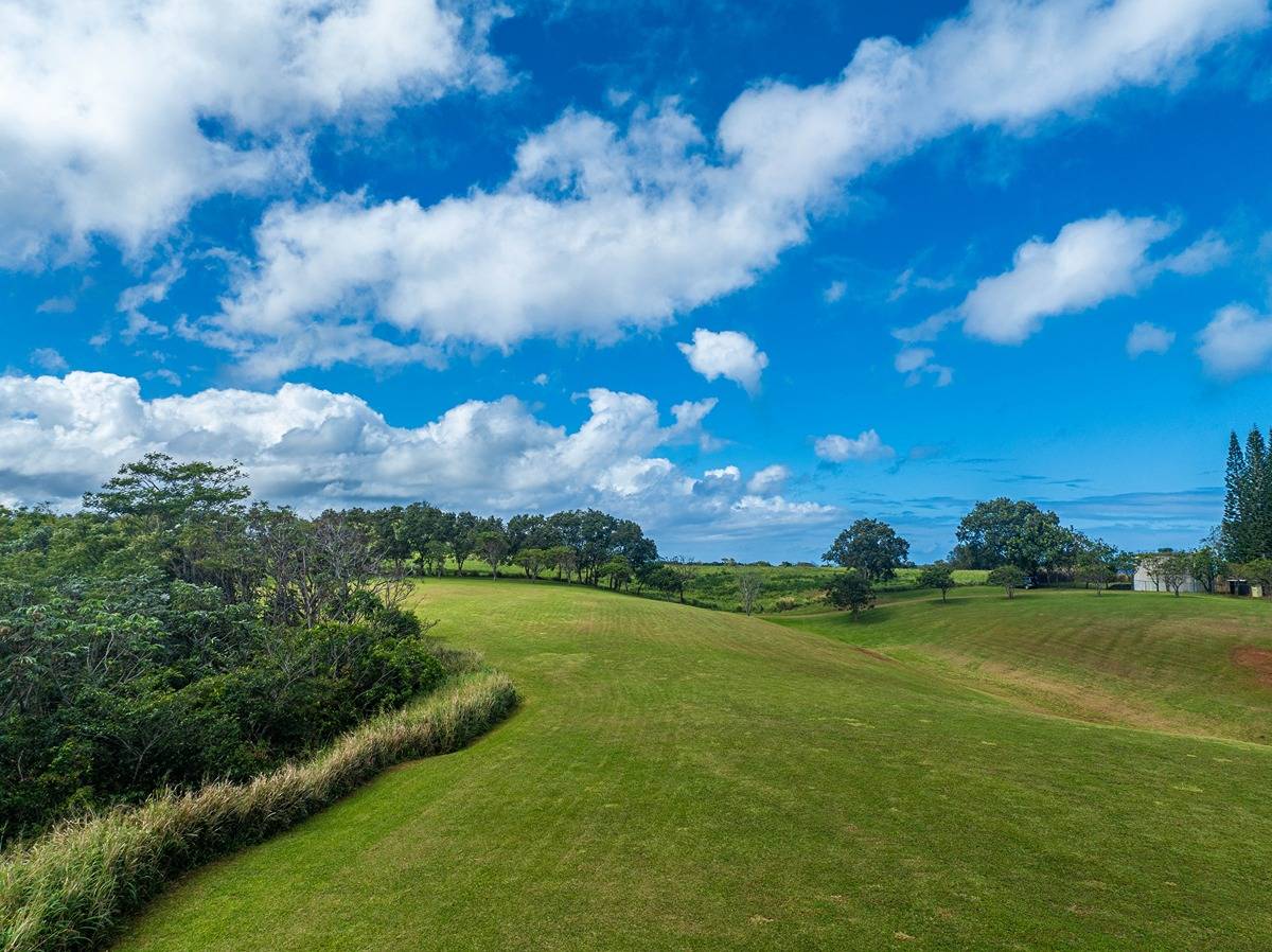 Kapuna Rd Property Photo 17