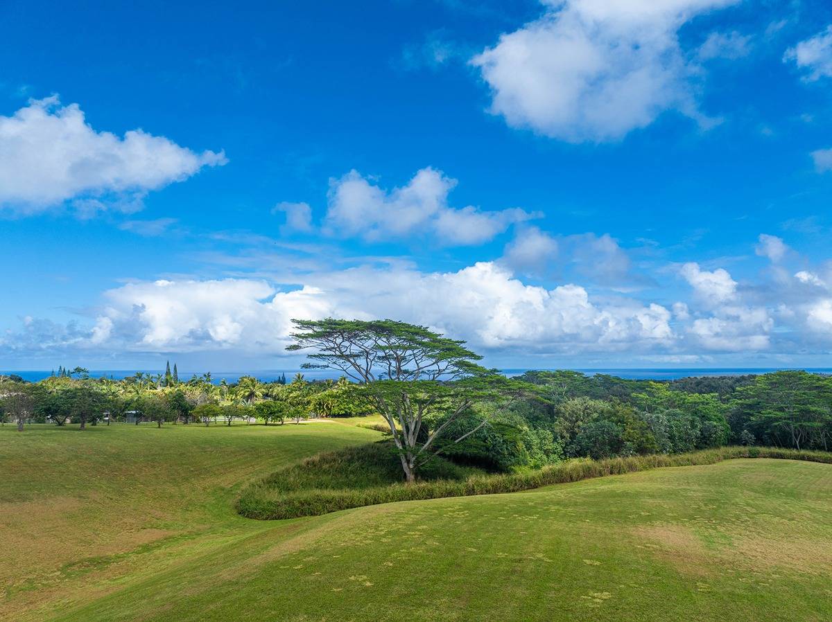 Kapuna Rd Property Photo 20