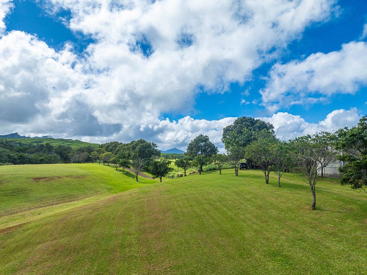 Kapuna Rd Property Photo 21