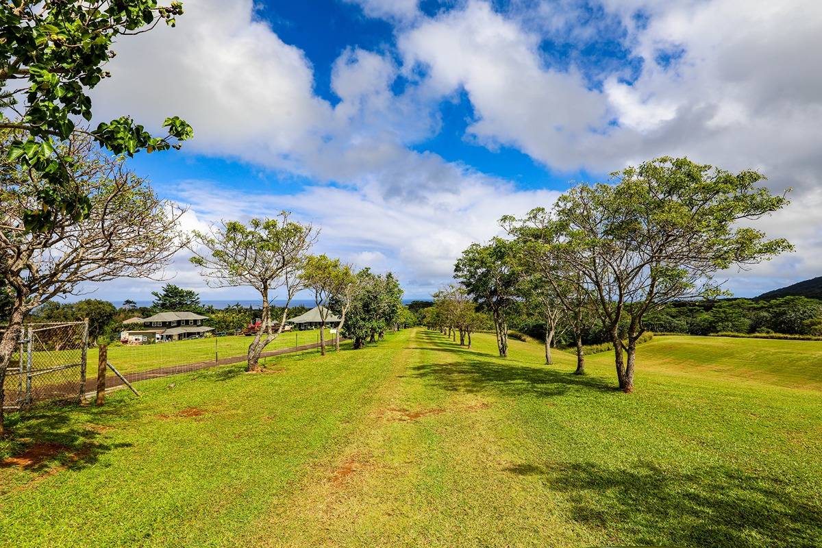 Kapuna Rd Property Photo 23
