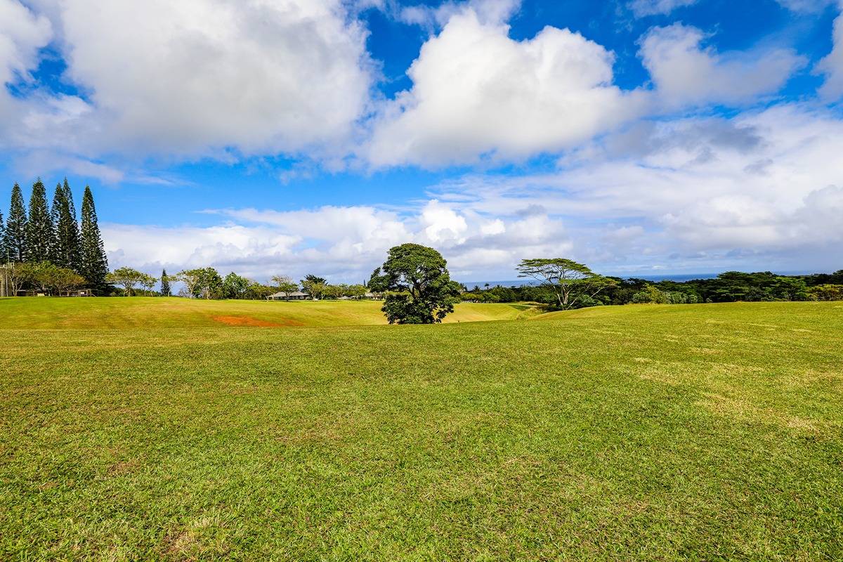 Kapuna Rd Property Photo 25