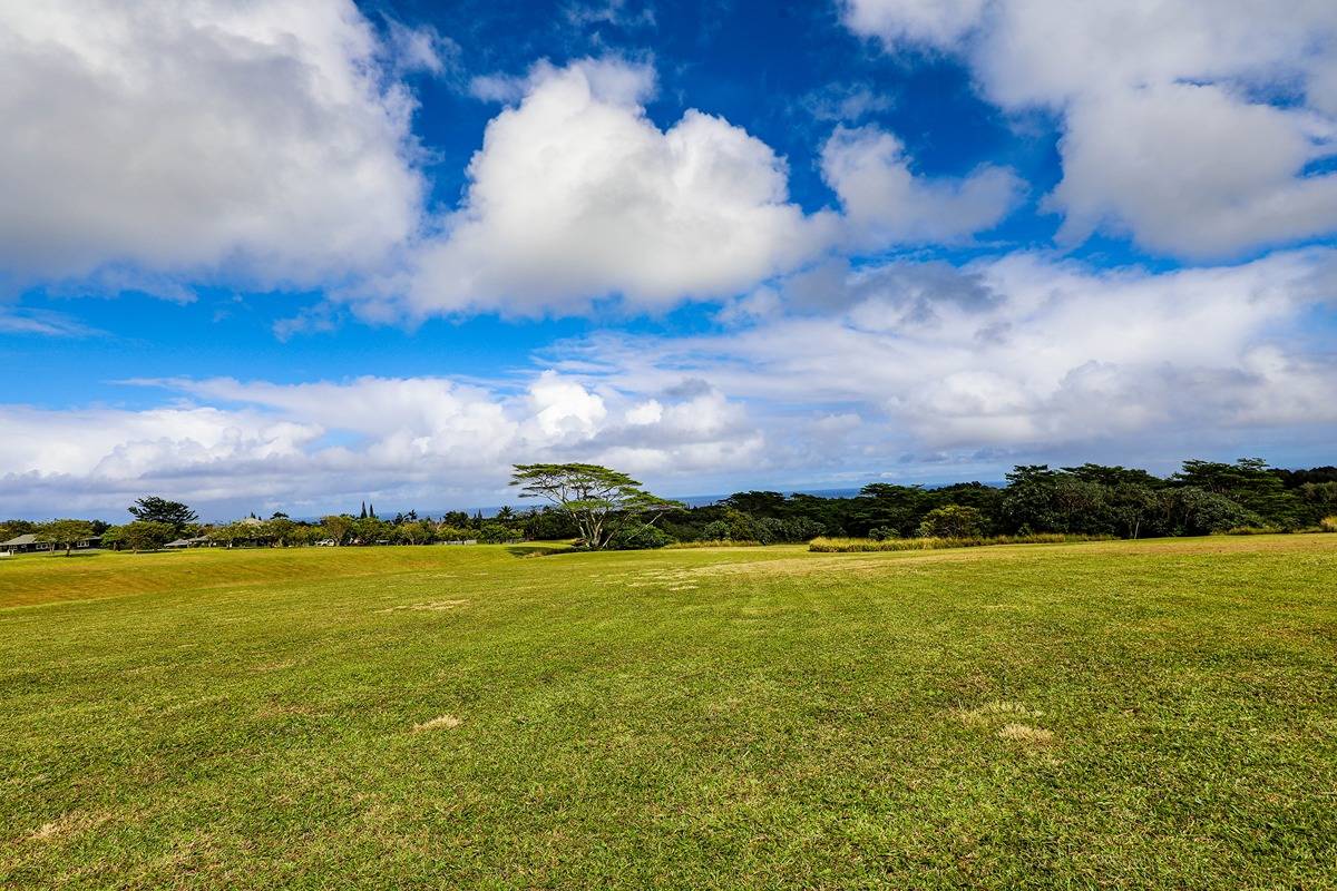 Kapuna Rd Property Photo 26