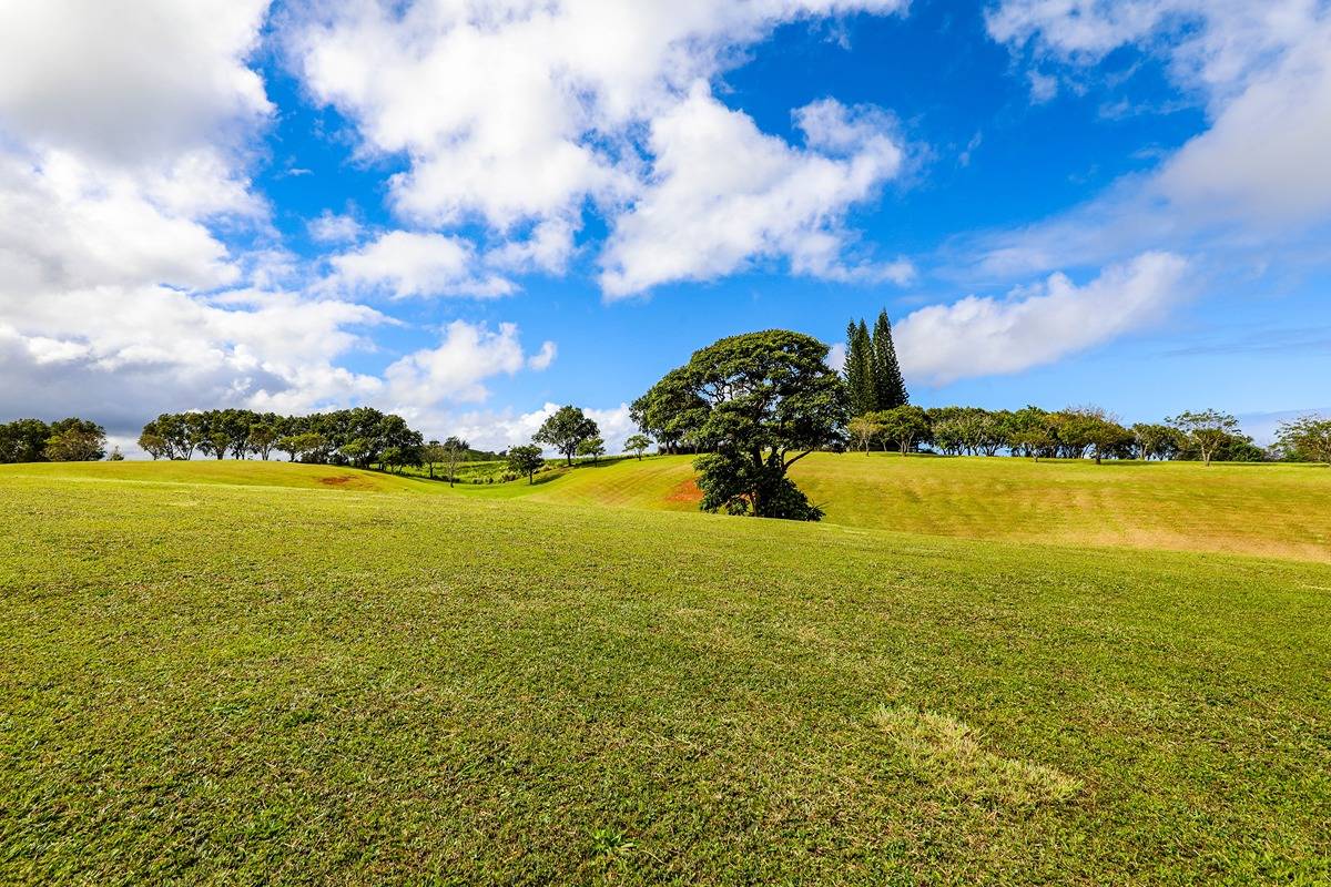 Kapuna Rd Property Photo 27