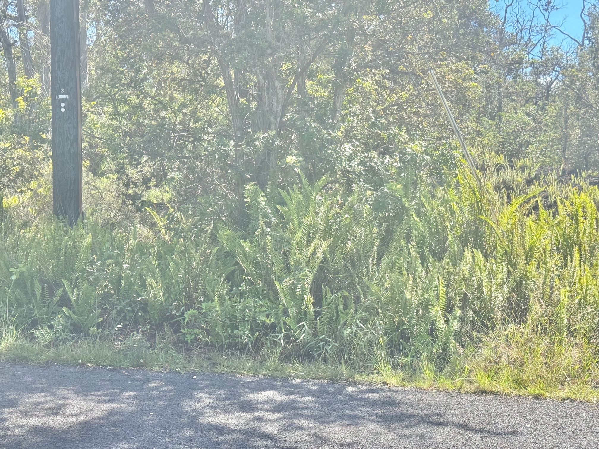 PARADISE PKWY Property Photo 1