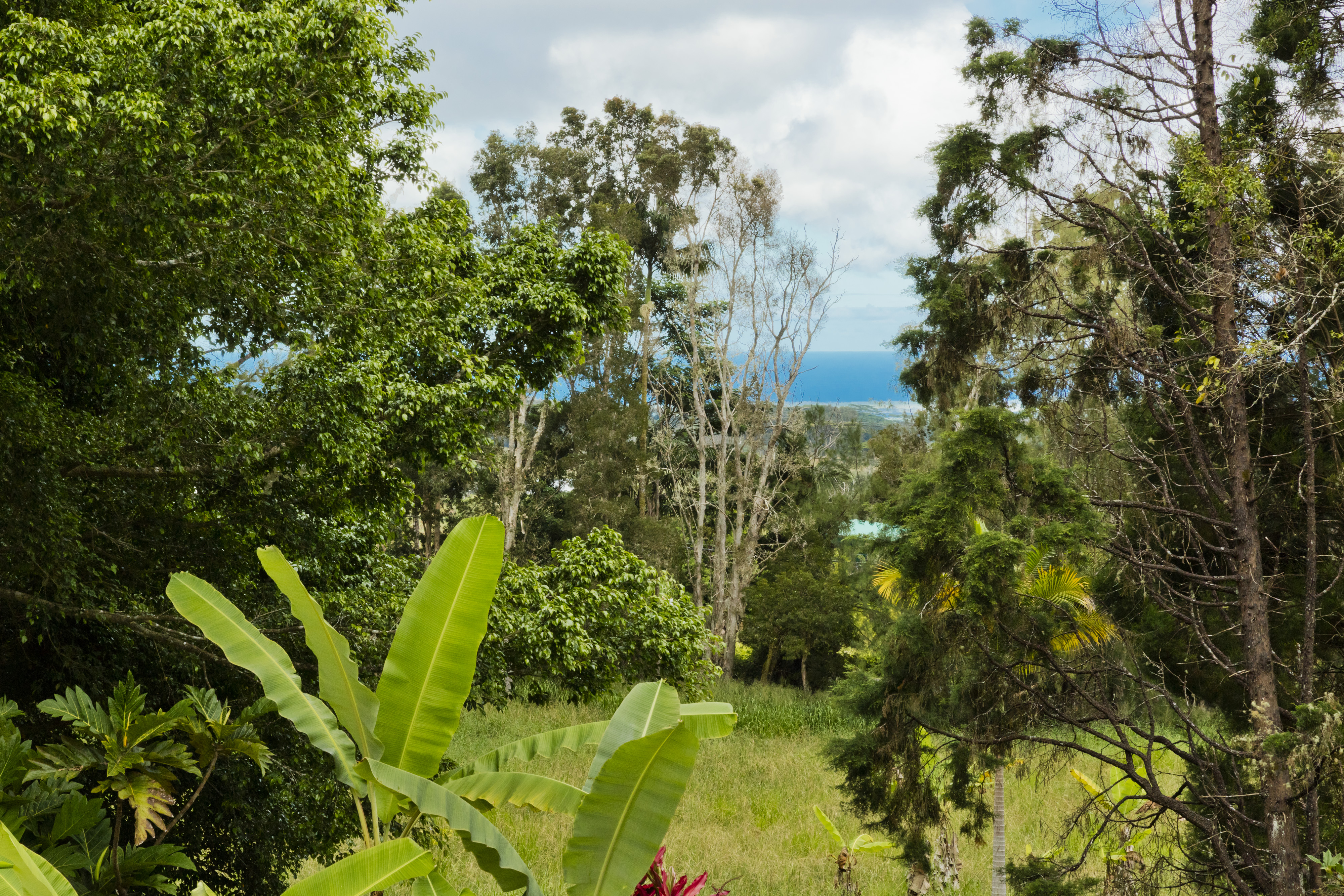18-3935 S Kopua Rd Property Photo 11