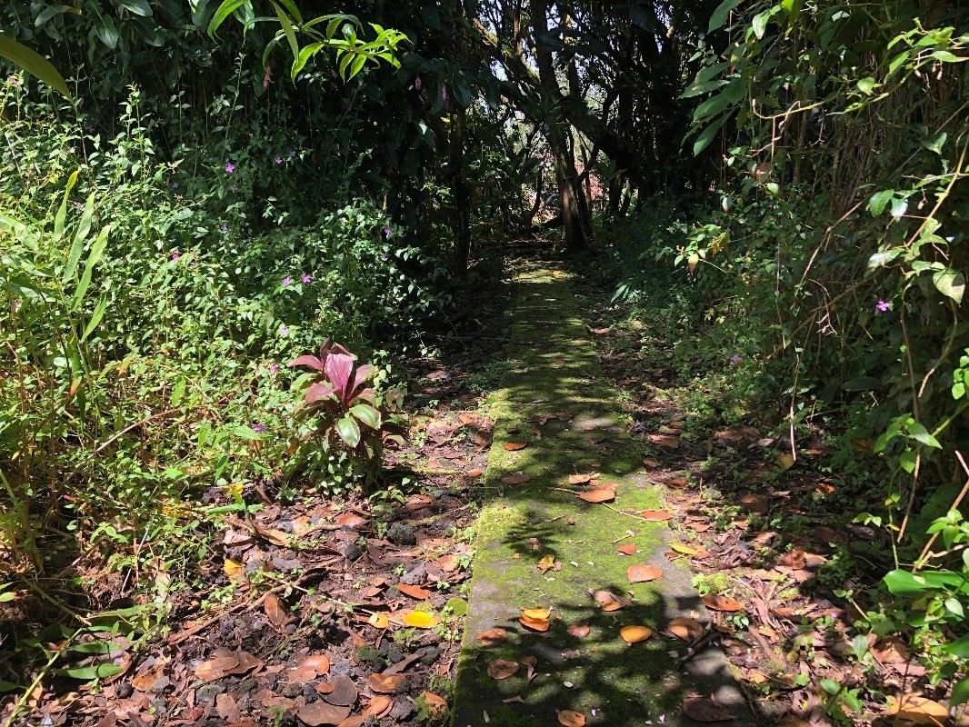 15-3097 Pahoa Kapoho Rd Property Photo 10