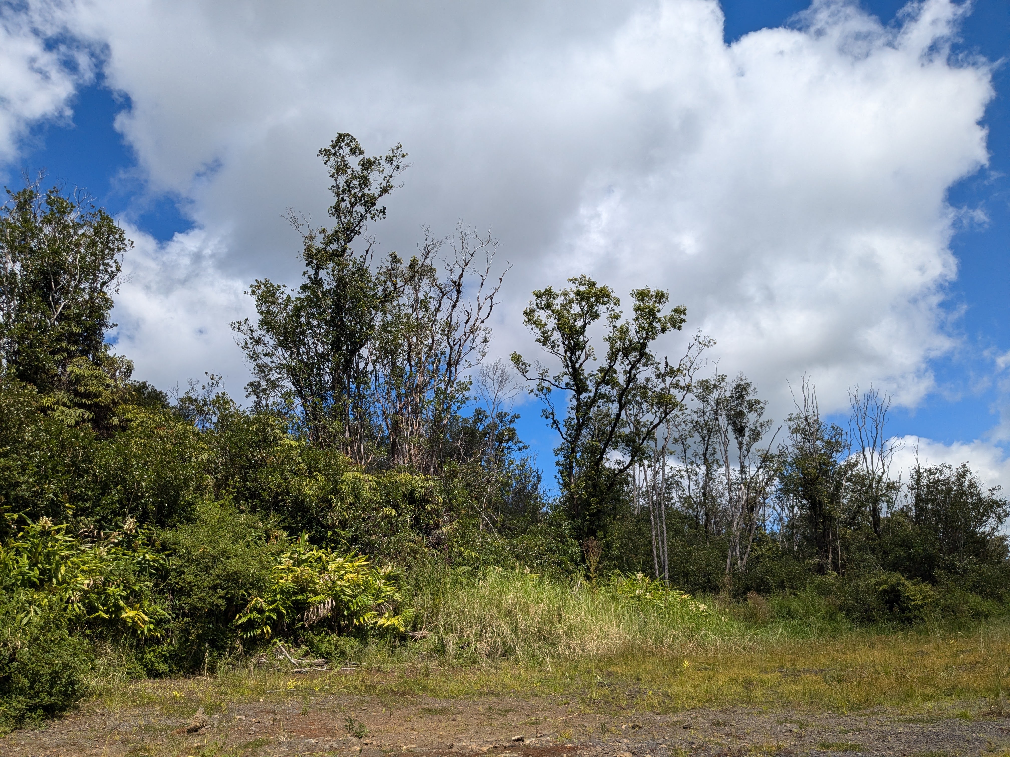 18-4218 Haumalu St Property Photo 4