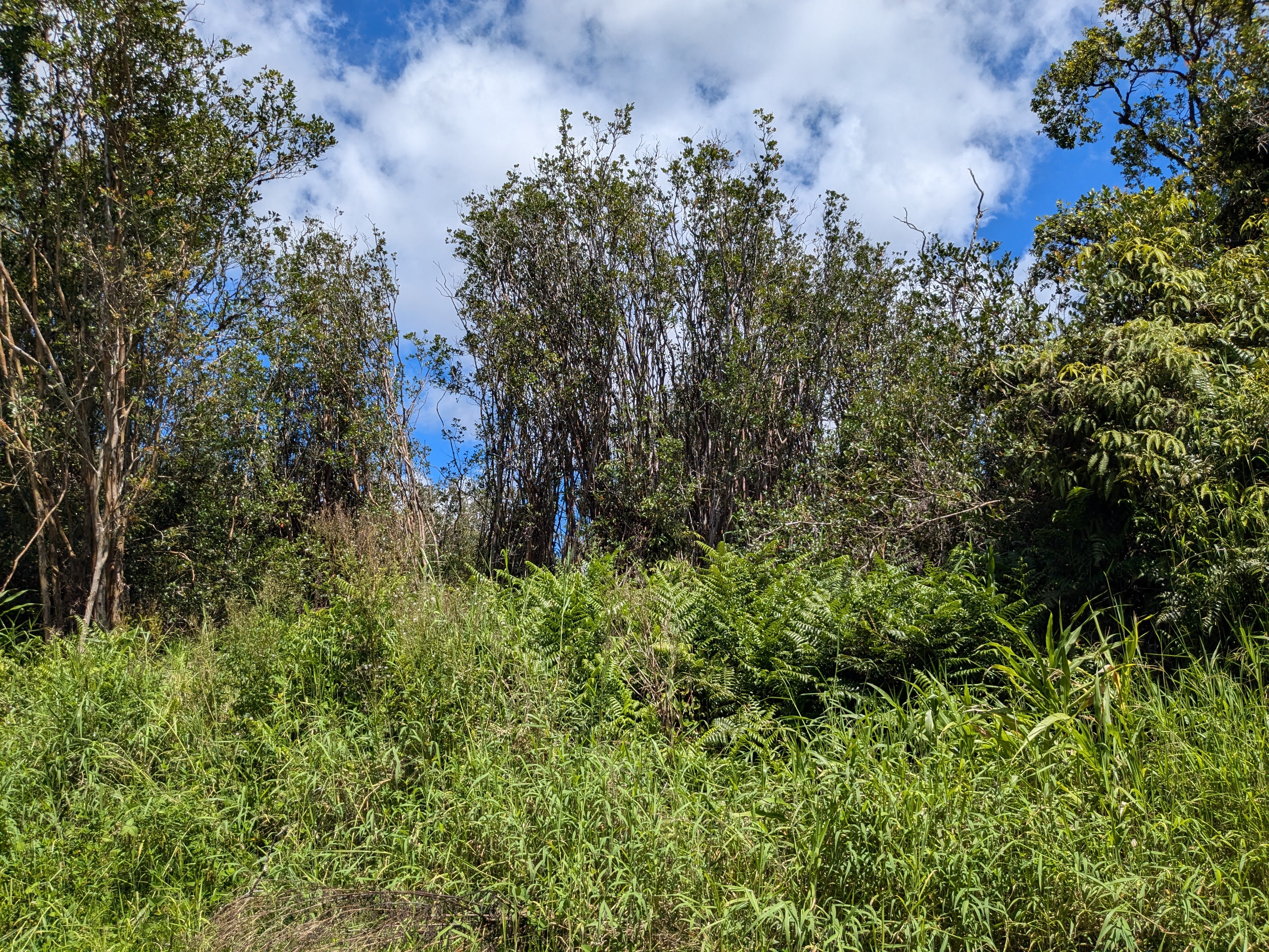 18-4218 Haumalu St Property Photo 7