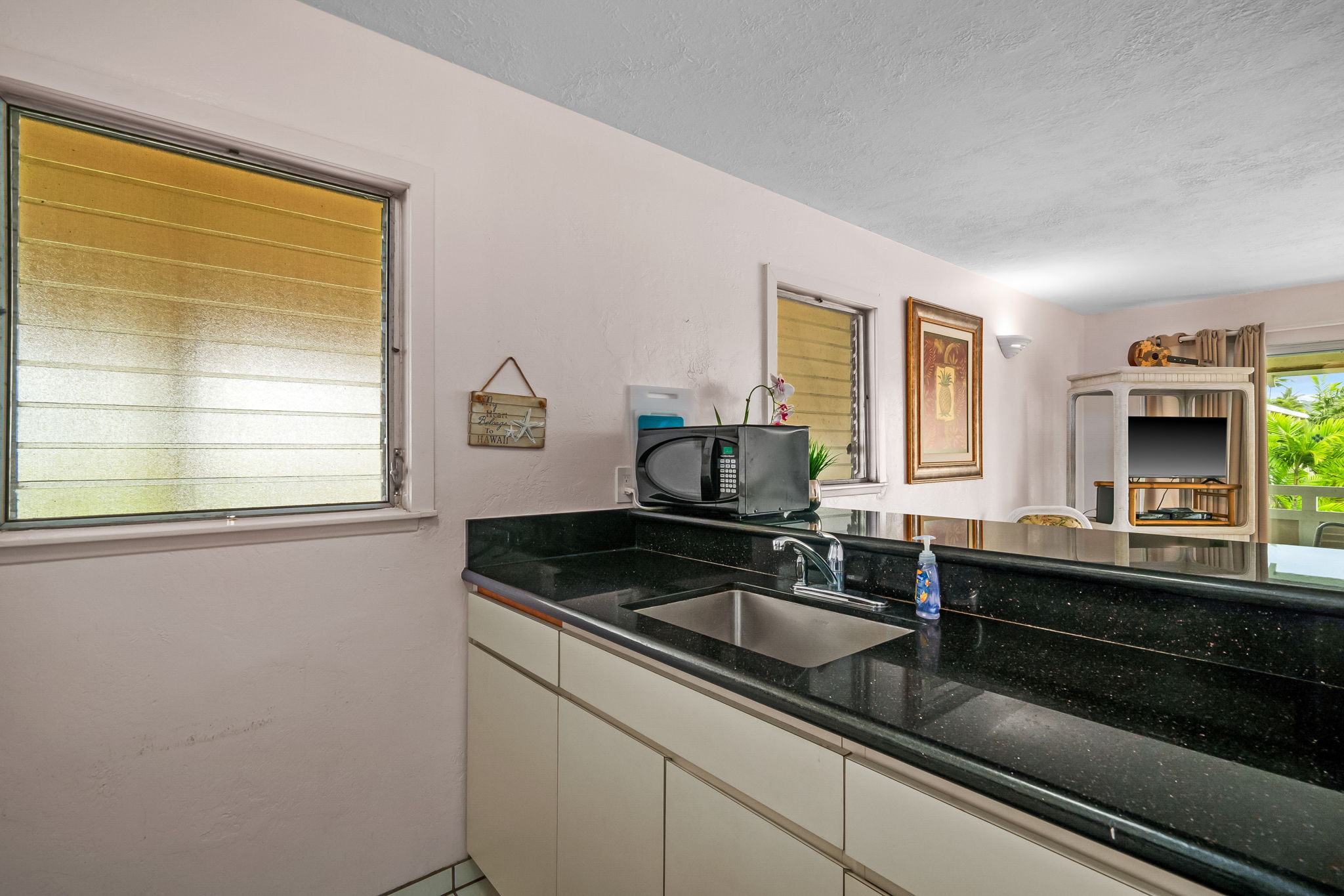 525 Aleka Lp G9 Property Photo 6