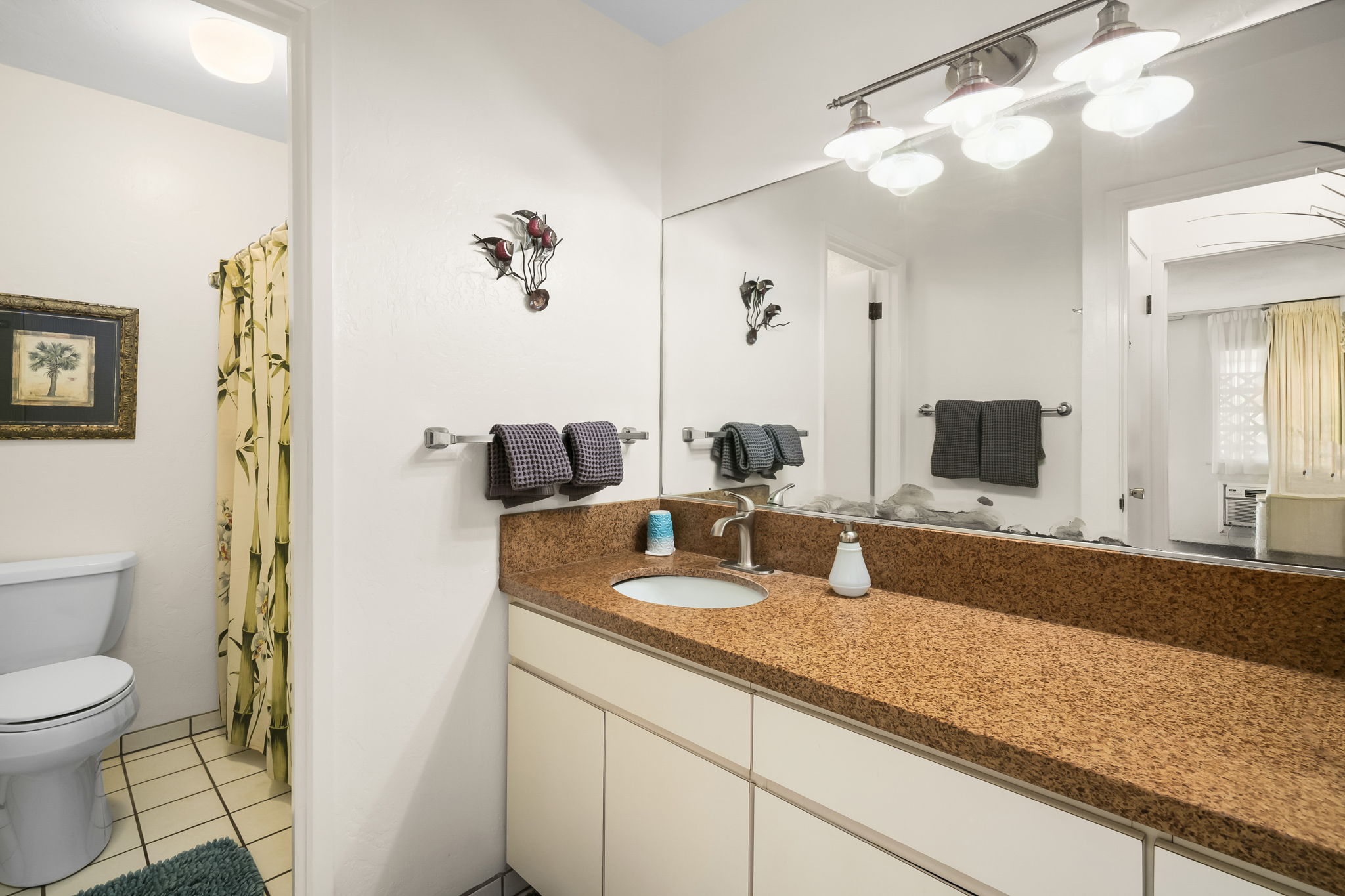 525 Aleka Lp G9 Property Photo 11
