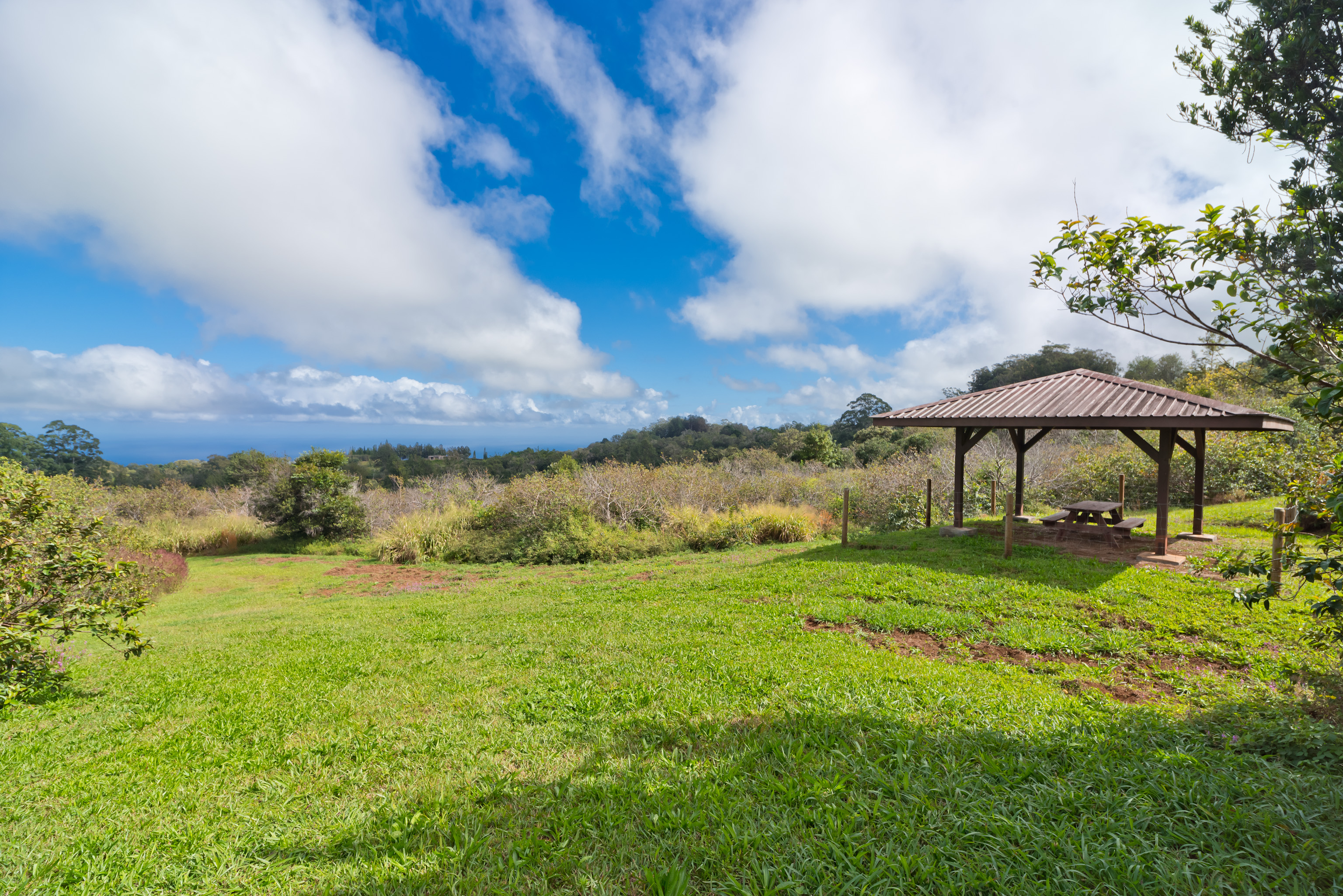 44-3342 Kula Kahiko Rd Property Photo 5