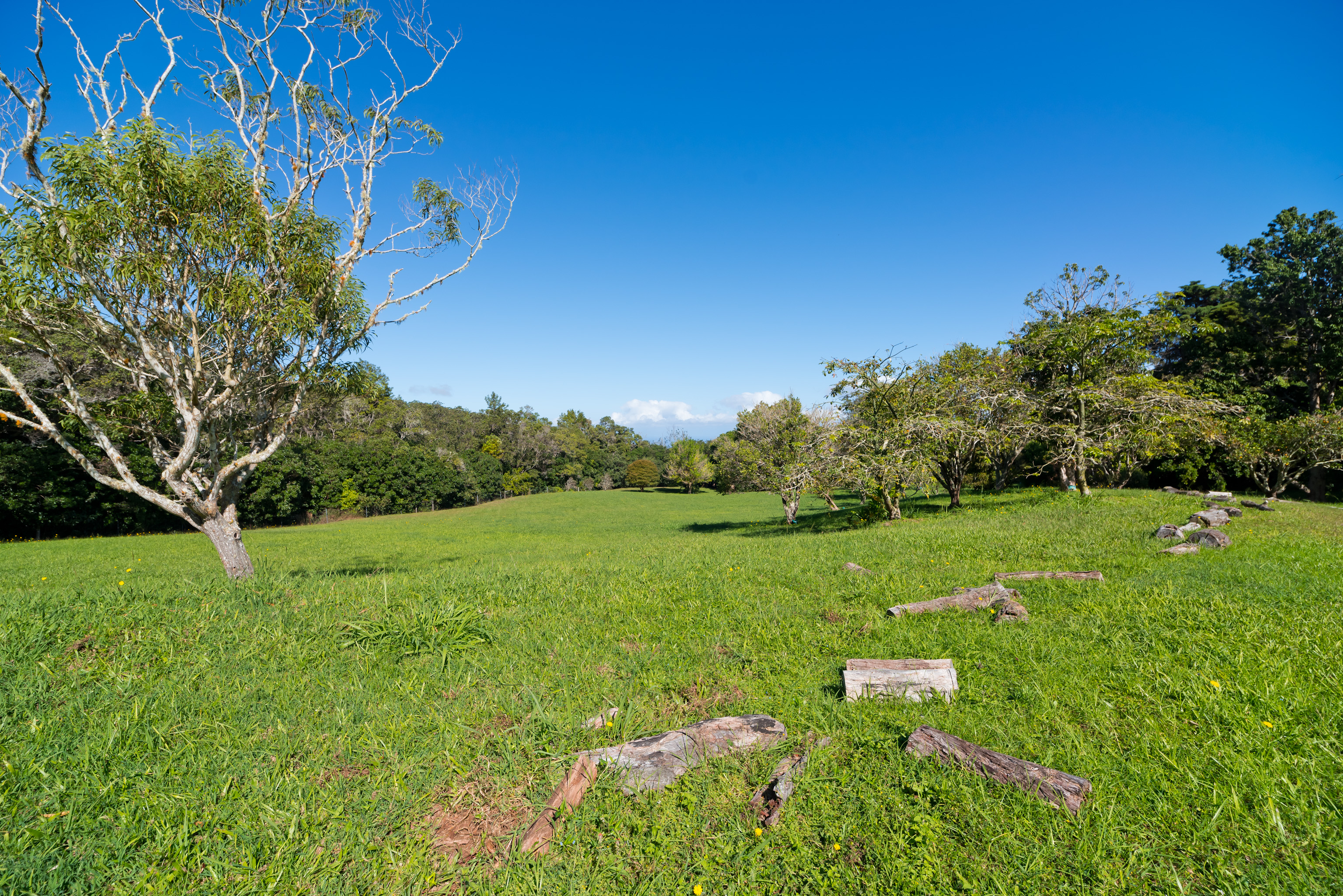 44-3342 Kula Kahiko Rd Property Photo 27
