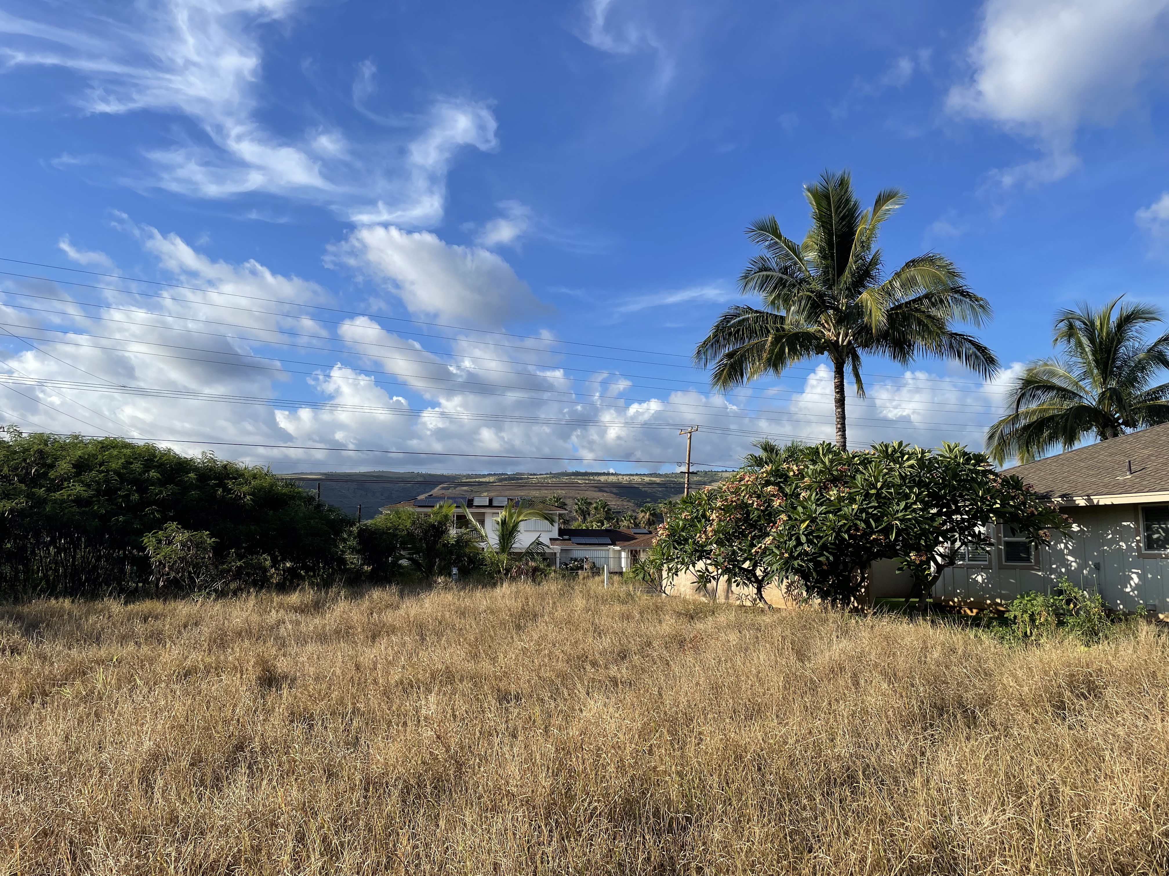 Mamo Rd 1 Property Photo 5