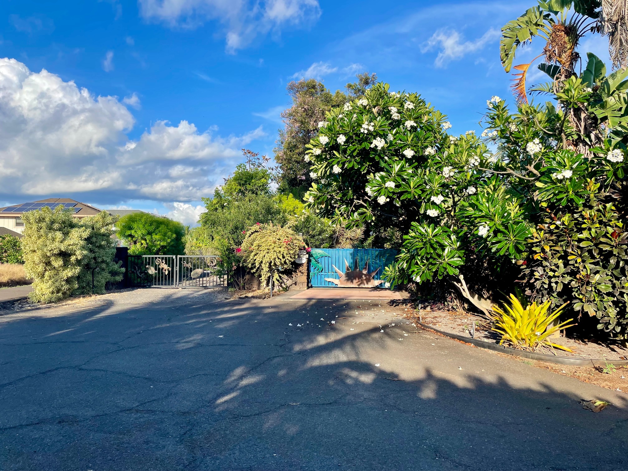 Mamo Rd 1 Property Photo 10