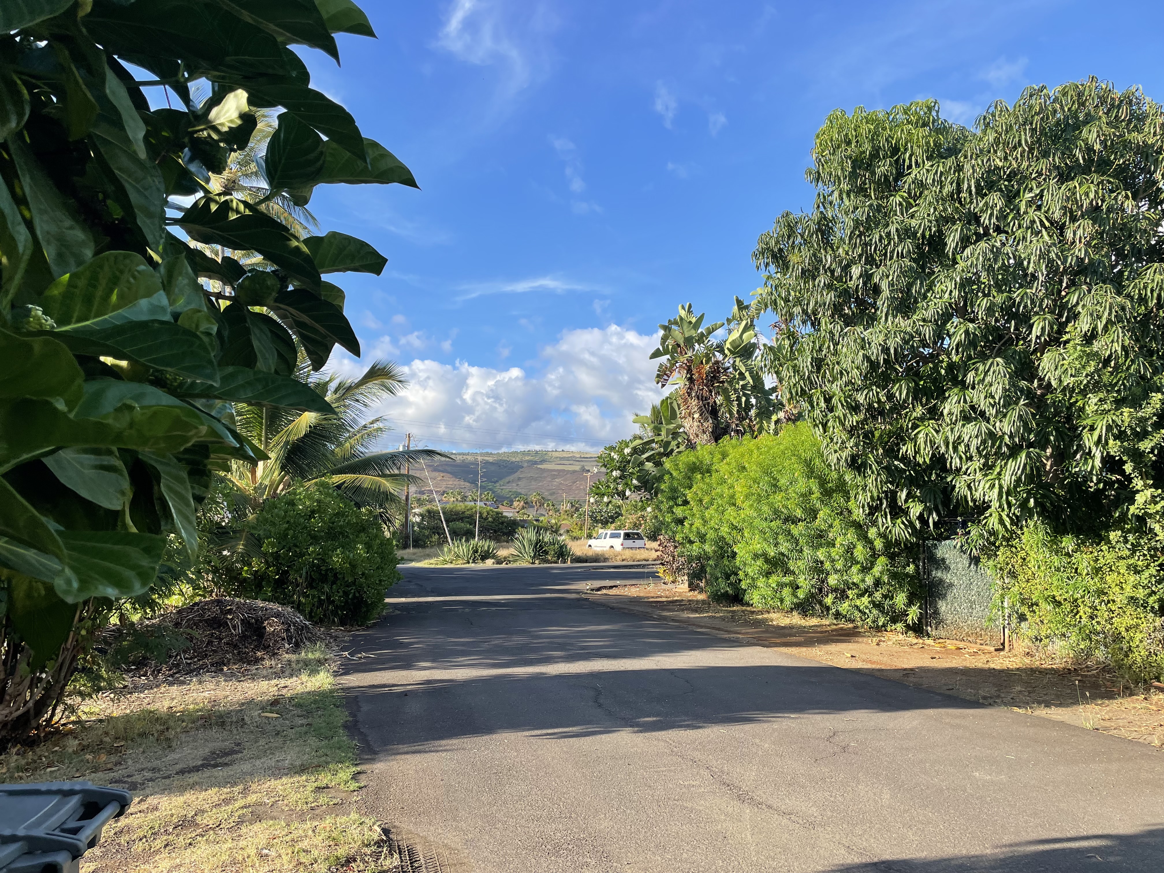 Mamo Rd 1 Property Photo 14