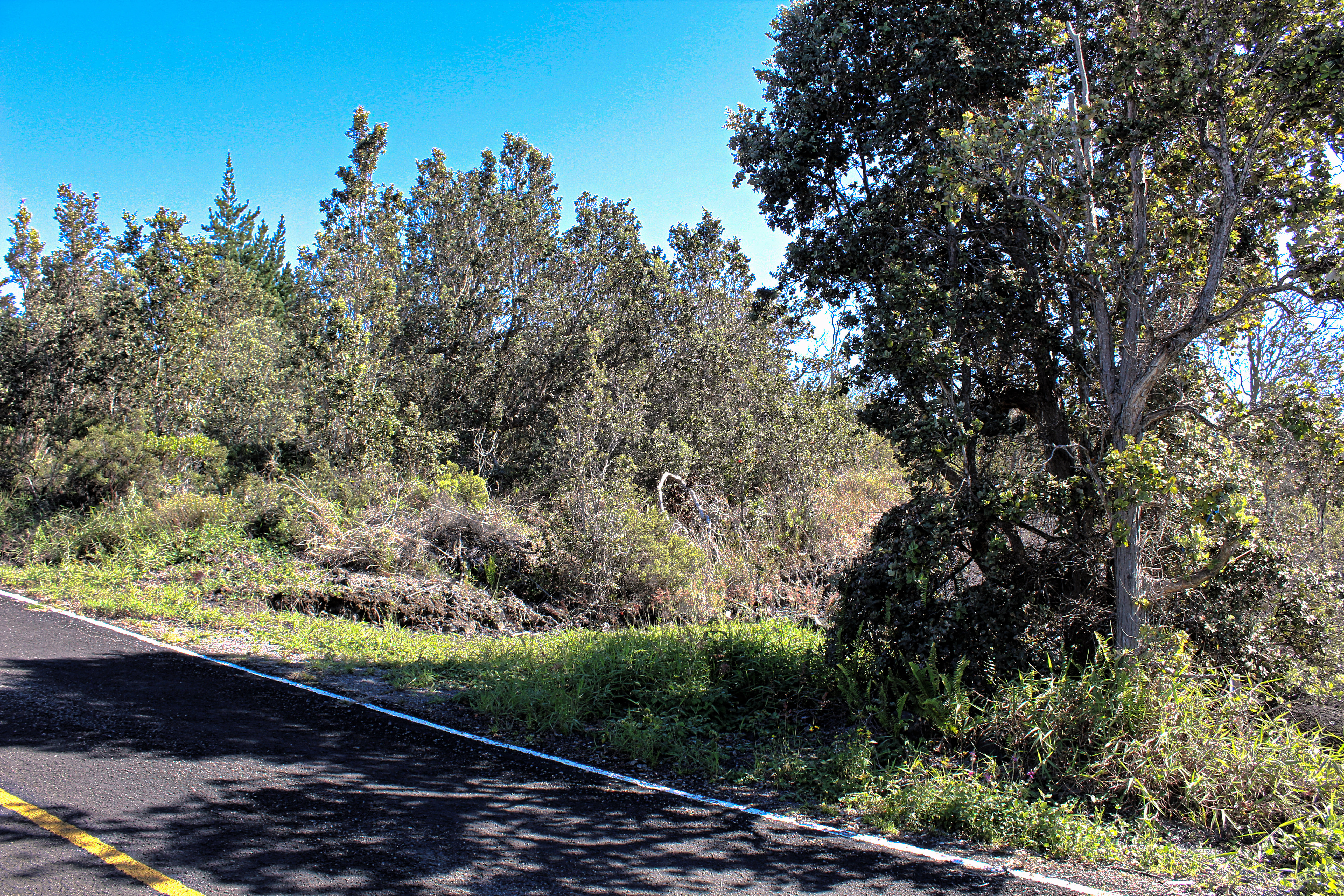 Catamaran Ln Property Photo 2
