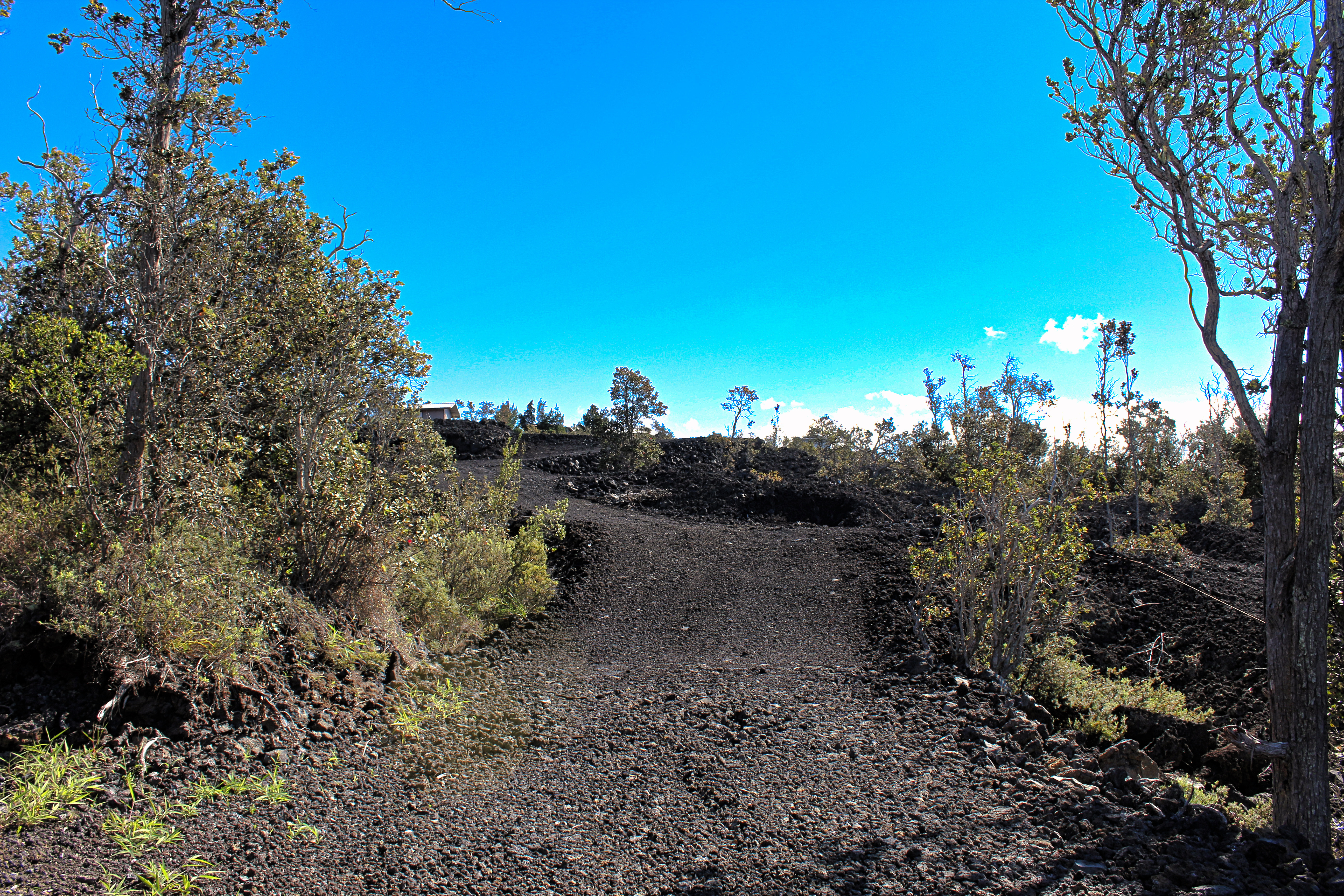 Catamaran Ln Property Photo 4