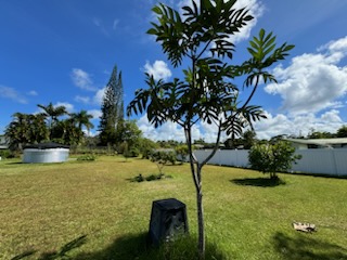 15-1578 26th Ave Property Photo 11