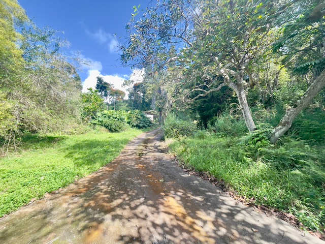 83-5621 Hawaii Belt Rd Property Photo 18