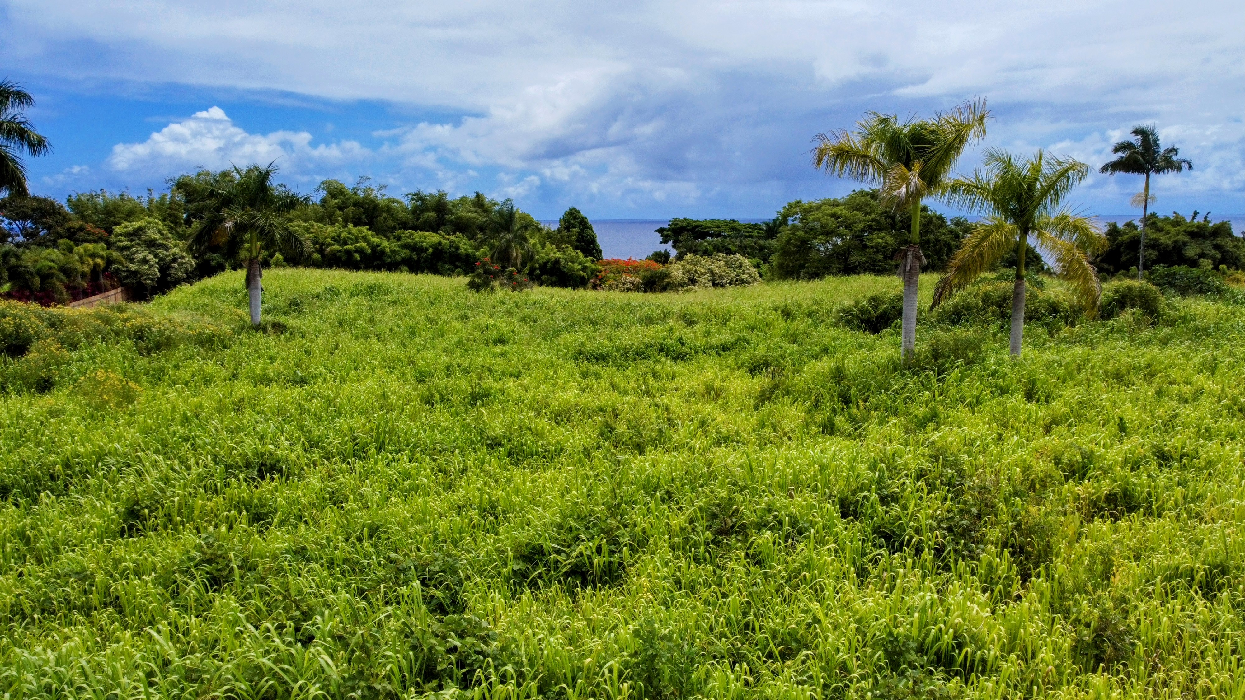 31-154 Hawaii Belt Rd Property Photo