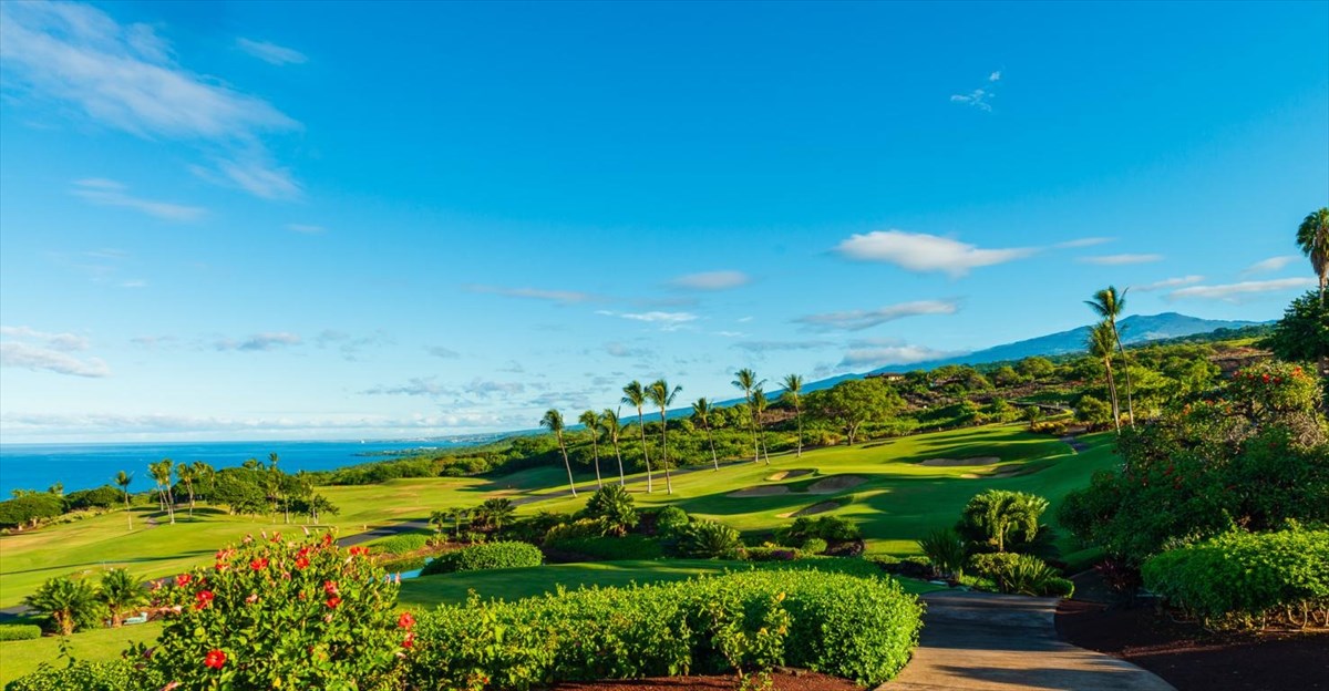 81-6624 Hiaaiono Pl Property Photo