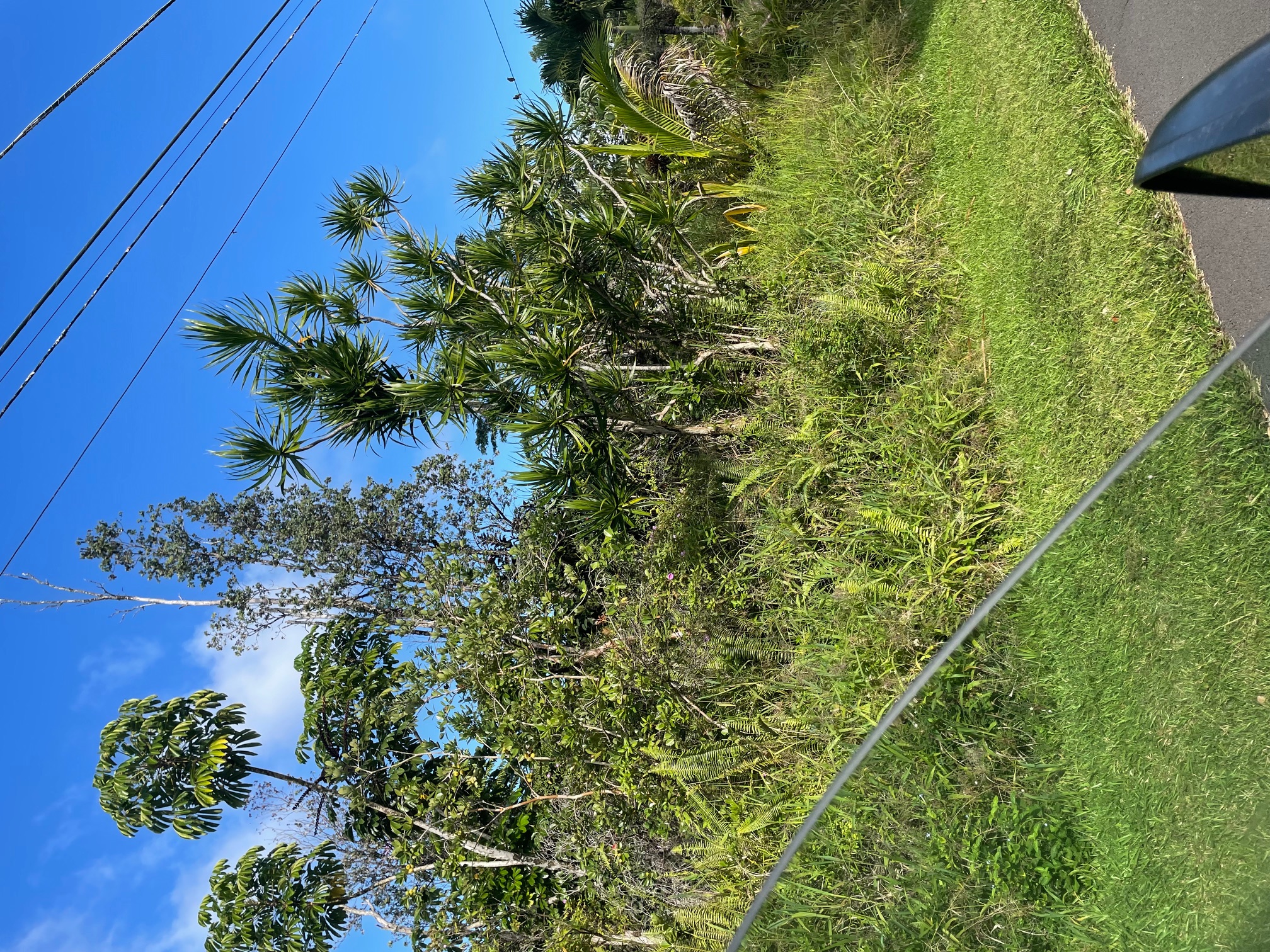 15-2811 LAI ST Property Photo 1