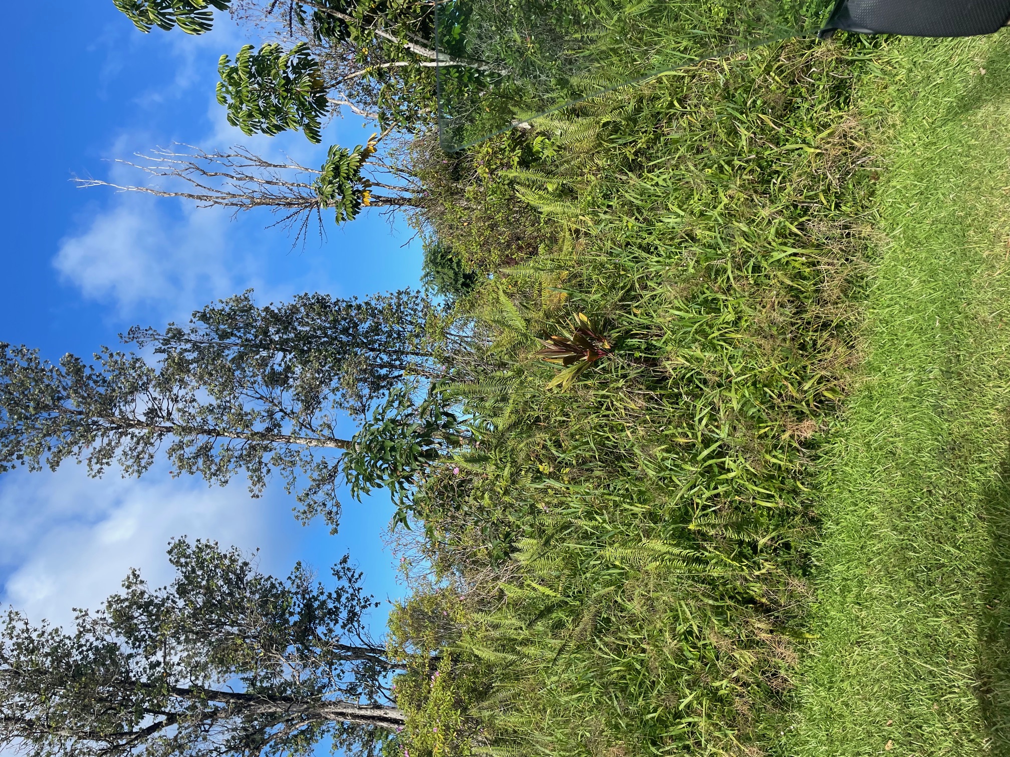 15-2811 Lai St Property Photo 3