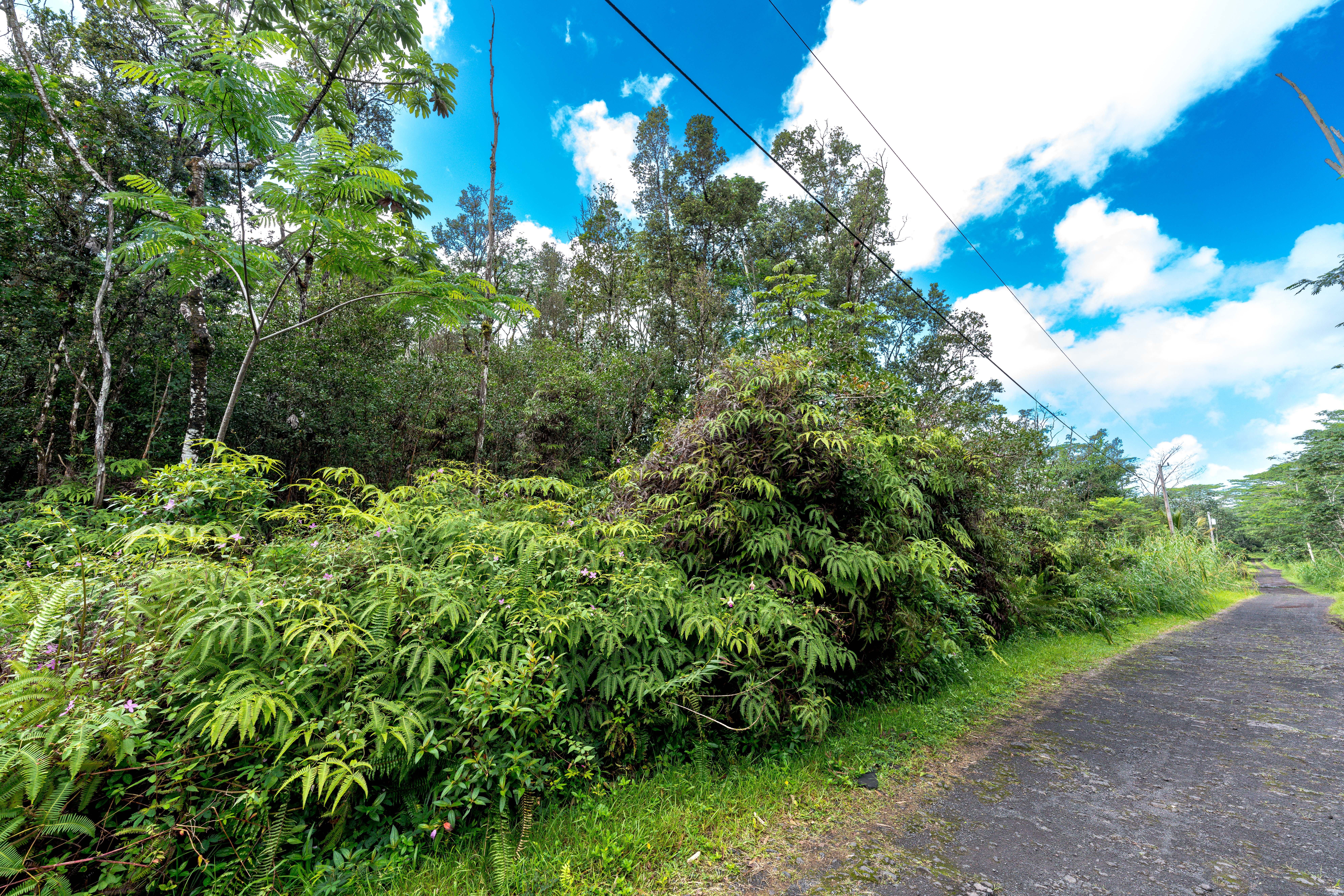 Lehua Rd Property Photo 1