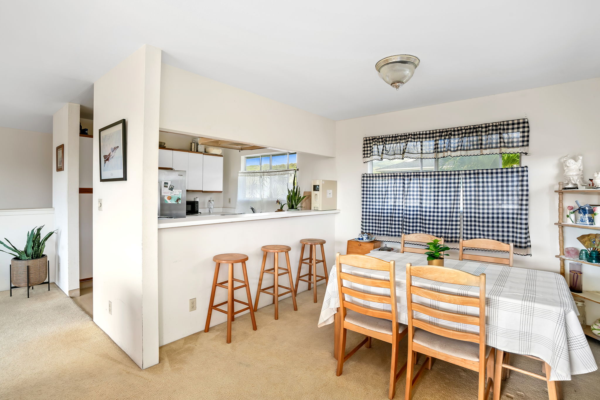 3541 Pua-kenikeni St Property Photo 4